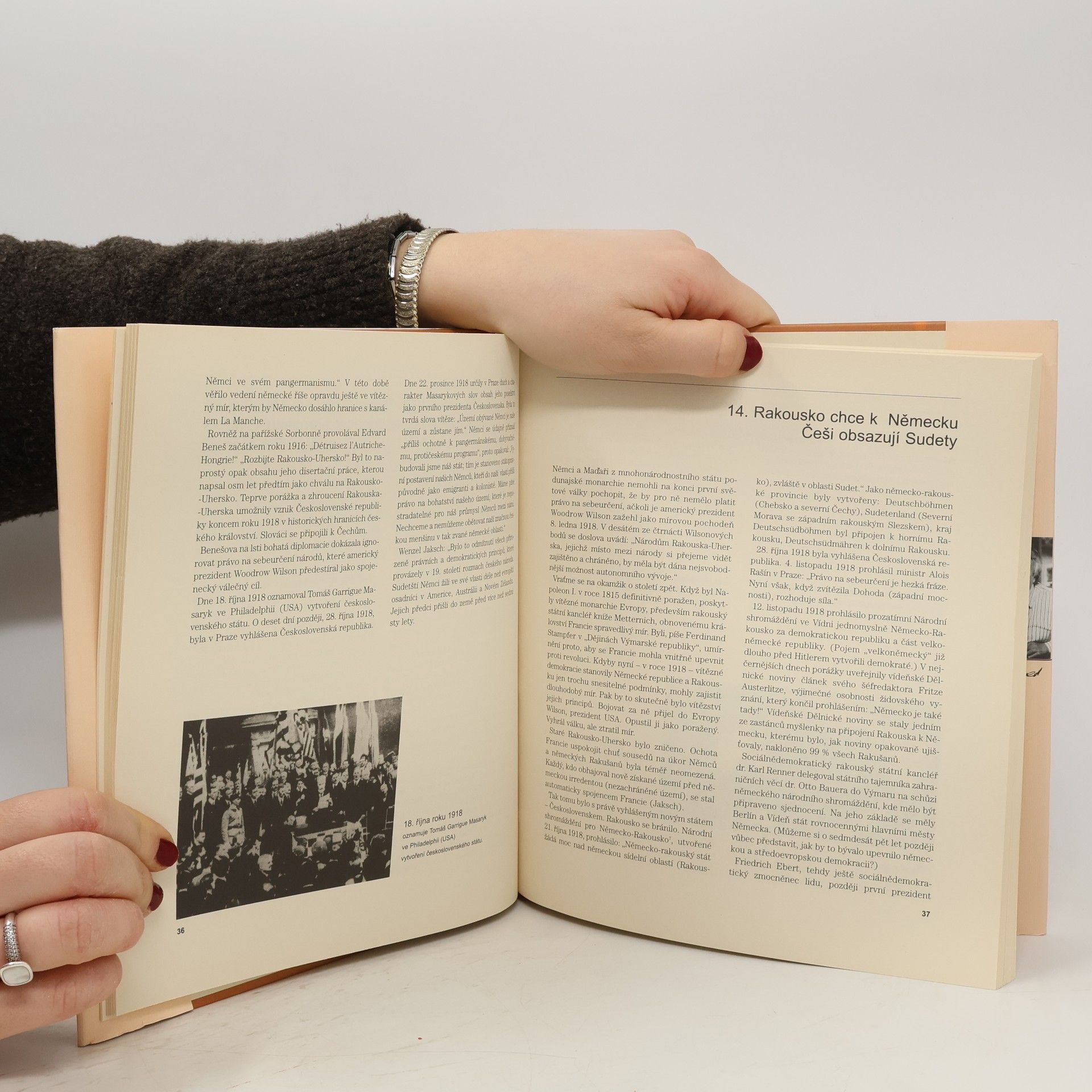 Heinrich Giegold Češi a Němci. Historie sousedských vztahů