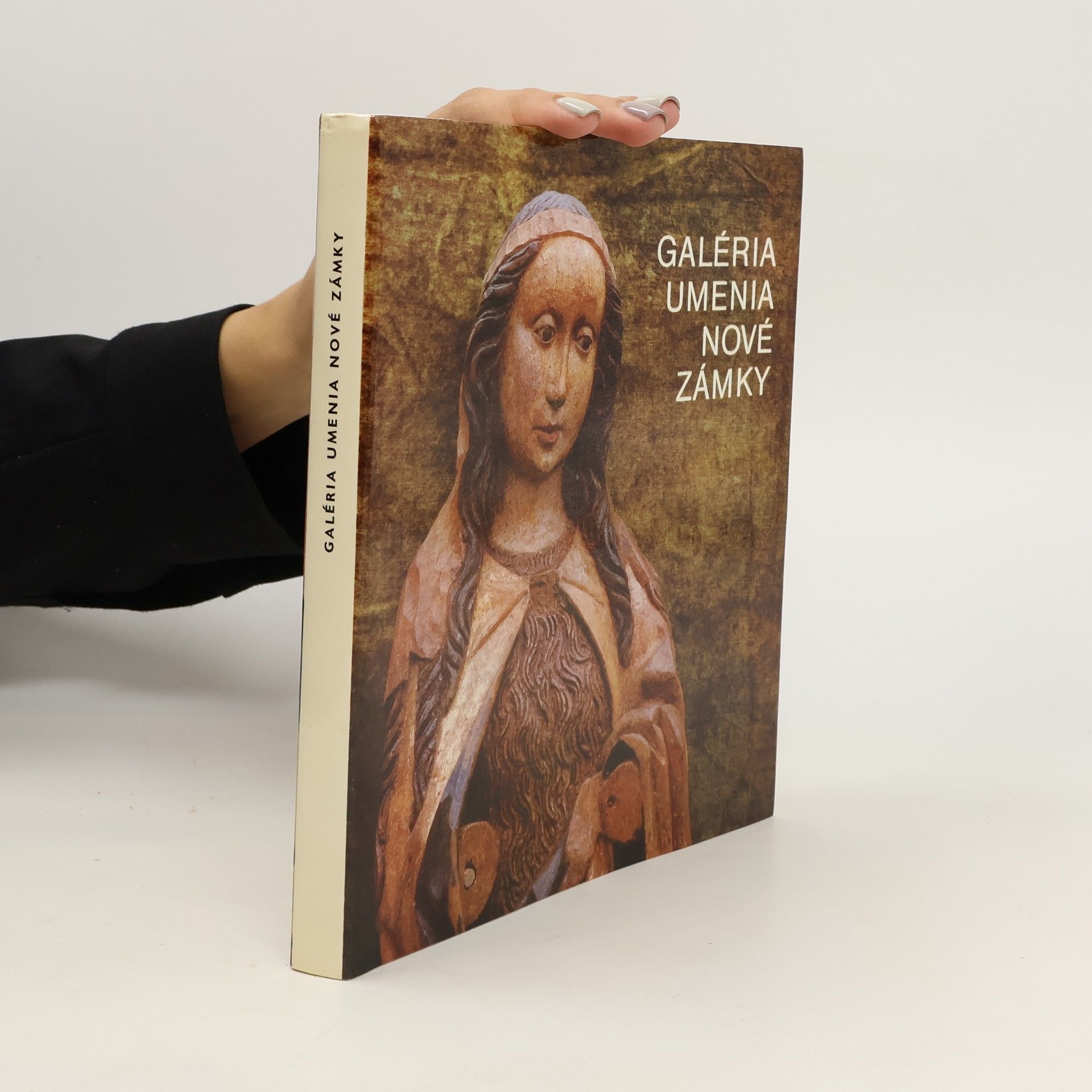 AA.VV. Galéria umenia Nové zámky. Katalóg diel darovaných Ernestom Zmetákom a Danicou Zmetákovou