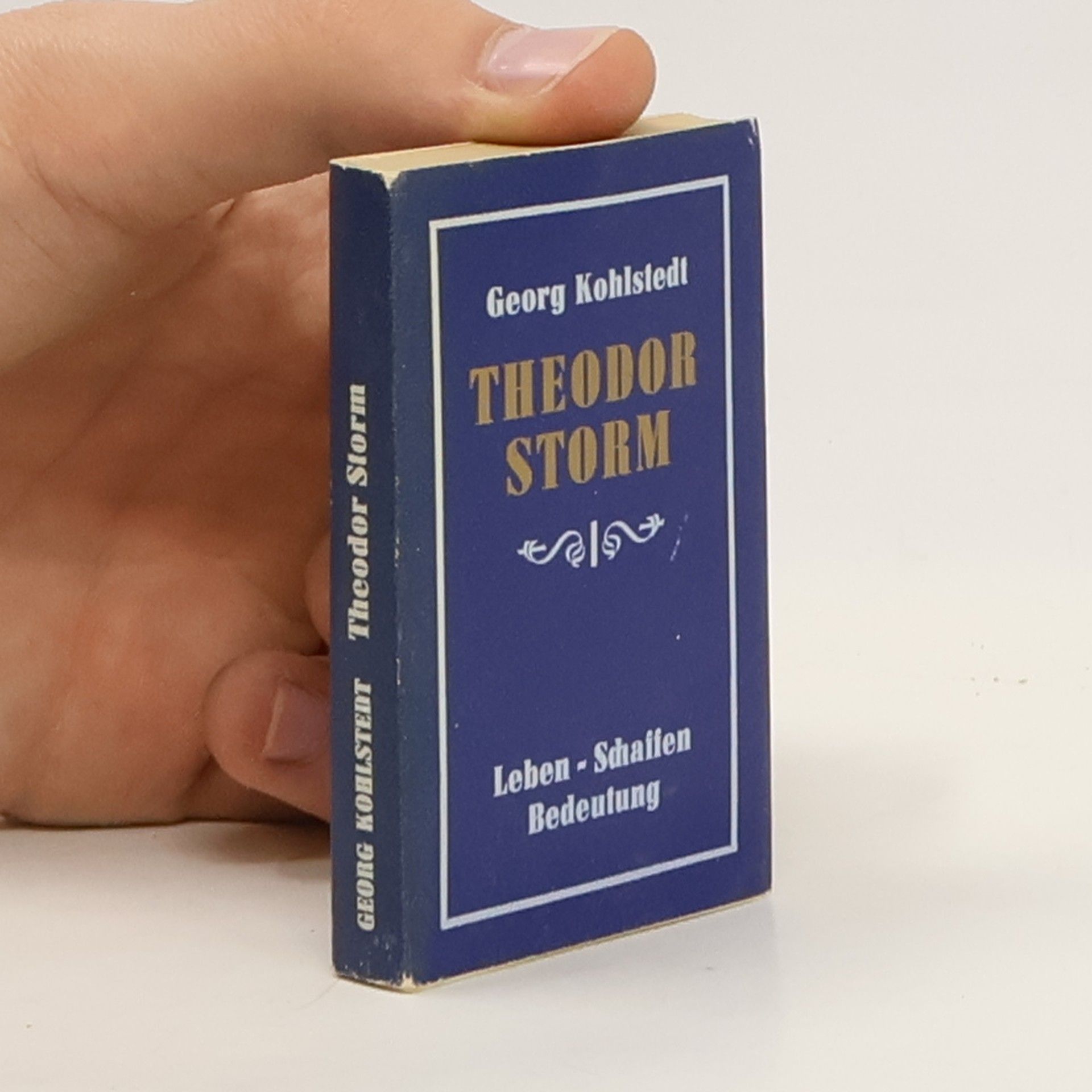 Georg Kohlstedt Theodor Storm