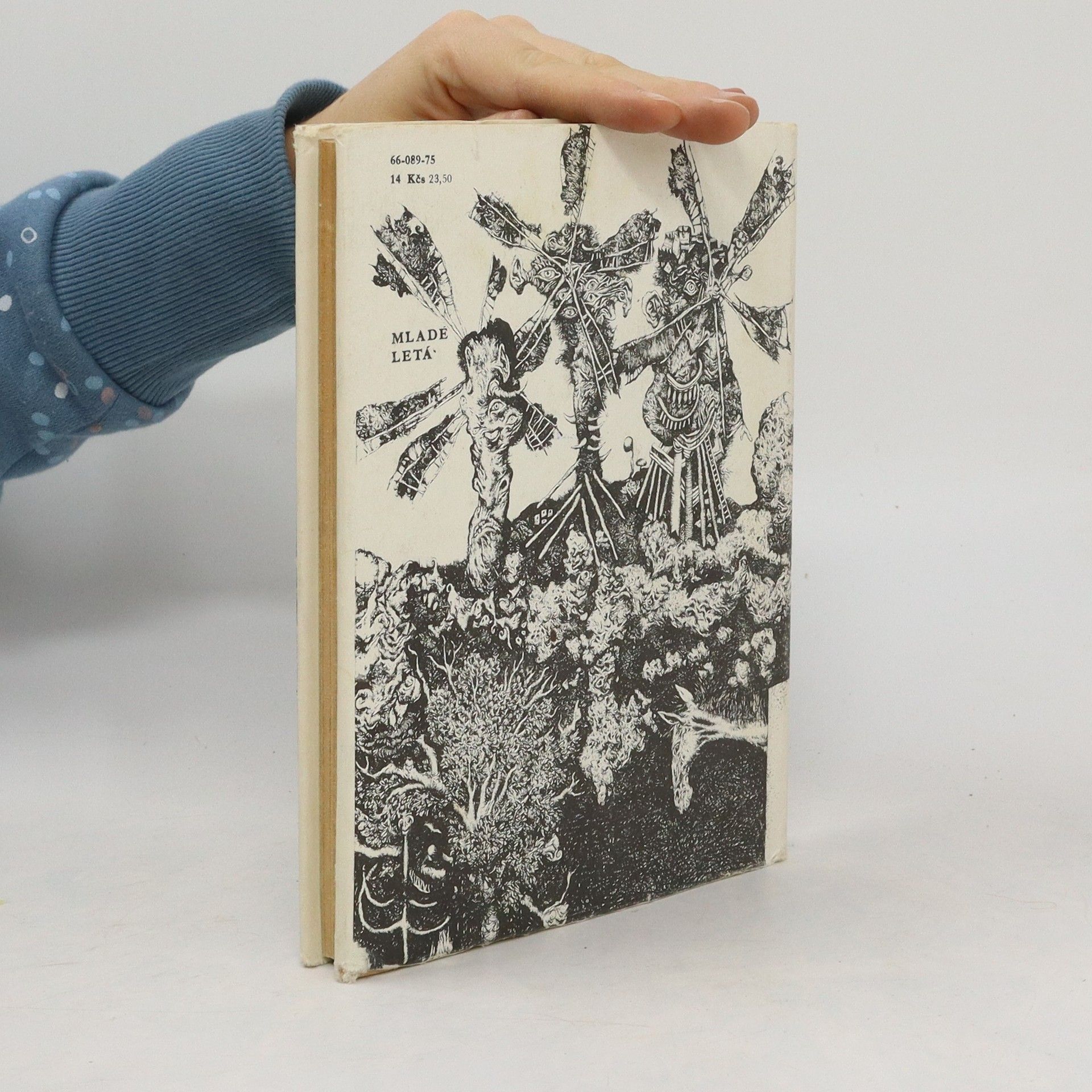 Miguel de Cervantes Saavedra Dômyselný rytier Don Quijote de la Mancha