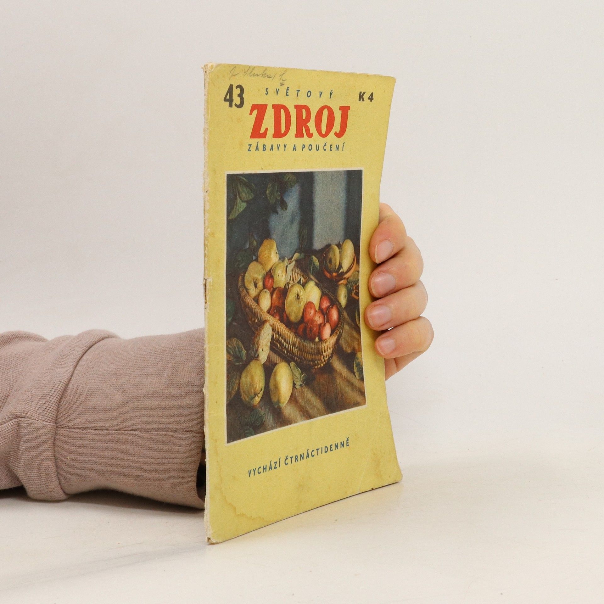 Autorenkollektiv Světový zdroj zábavy a poučení