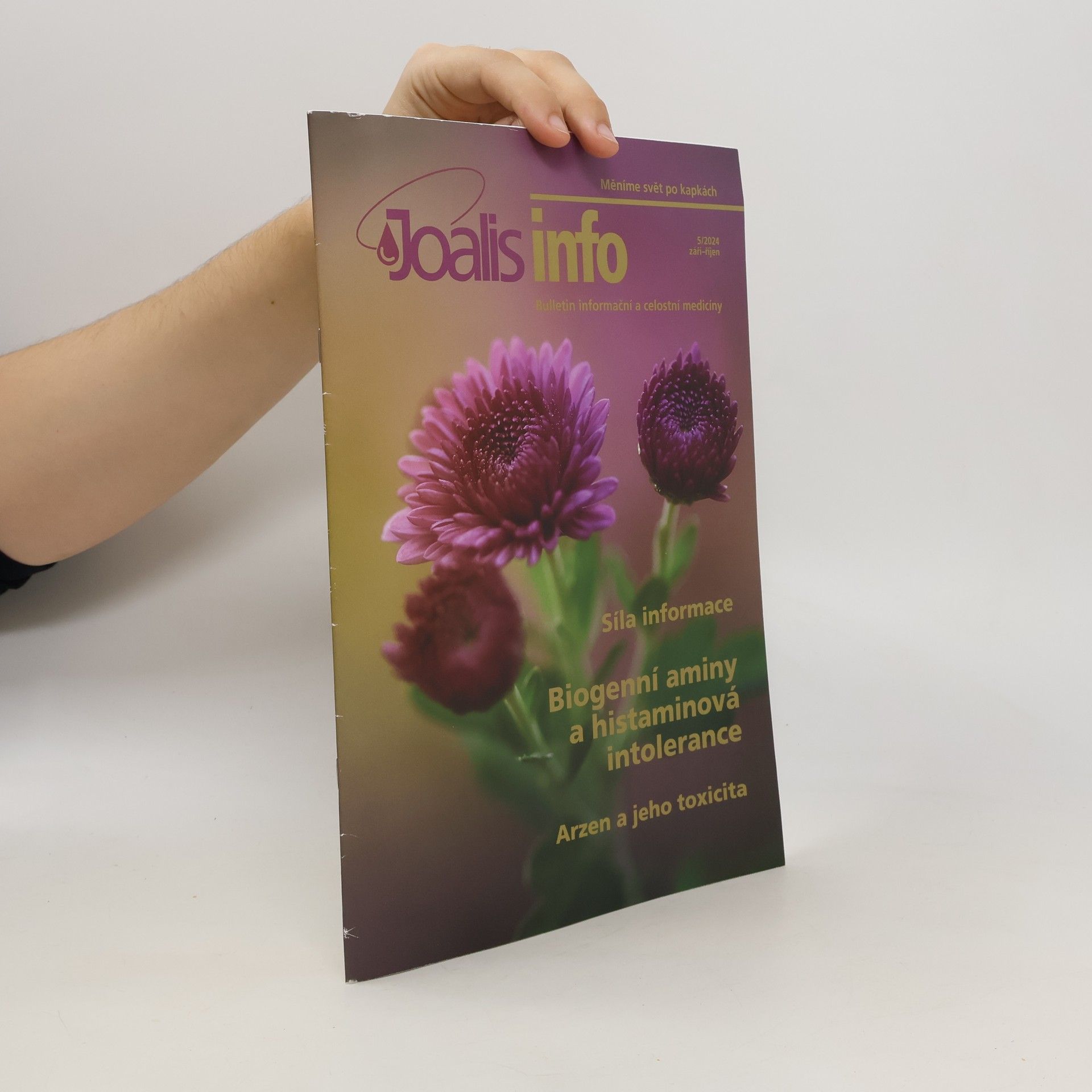 Auteurscollectief Síla informace