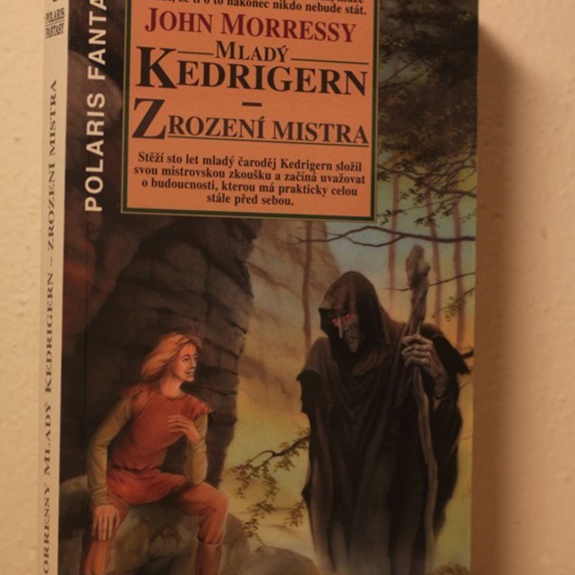 John Morressy Mladý Kedrigern - zrození mistra
