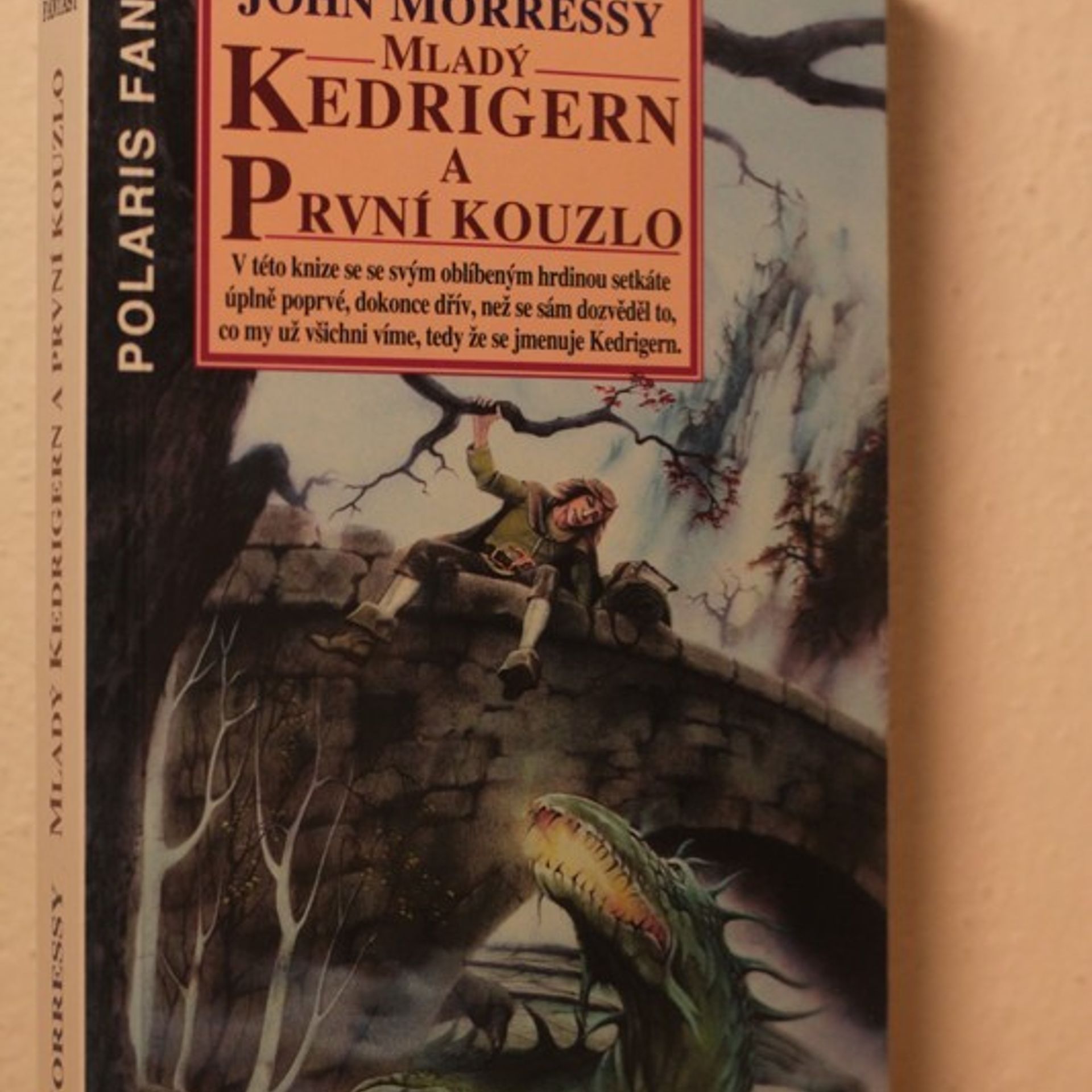 John Morressy Mladý Kedrigern a první kouzlo