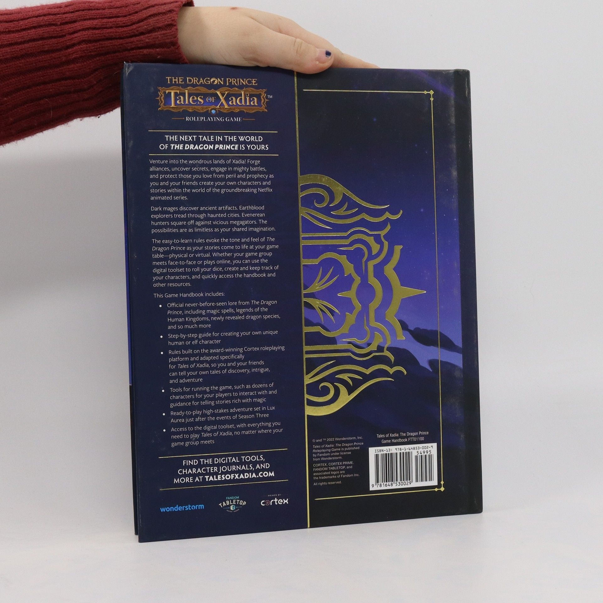 kolektiv The Dragon Prince. Tales of Xandia