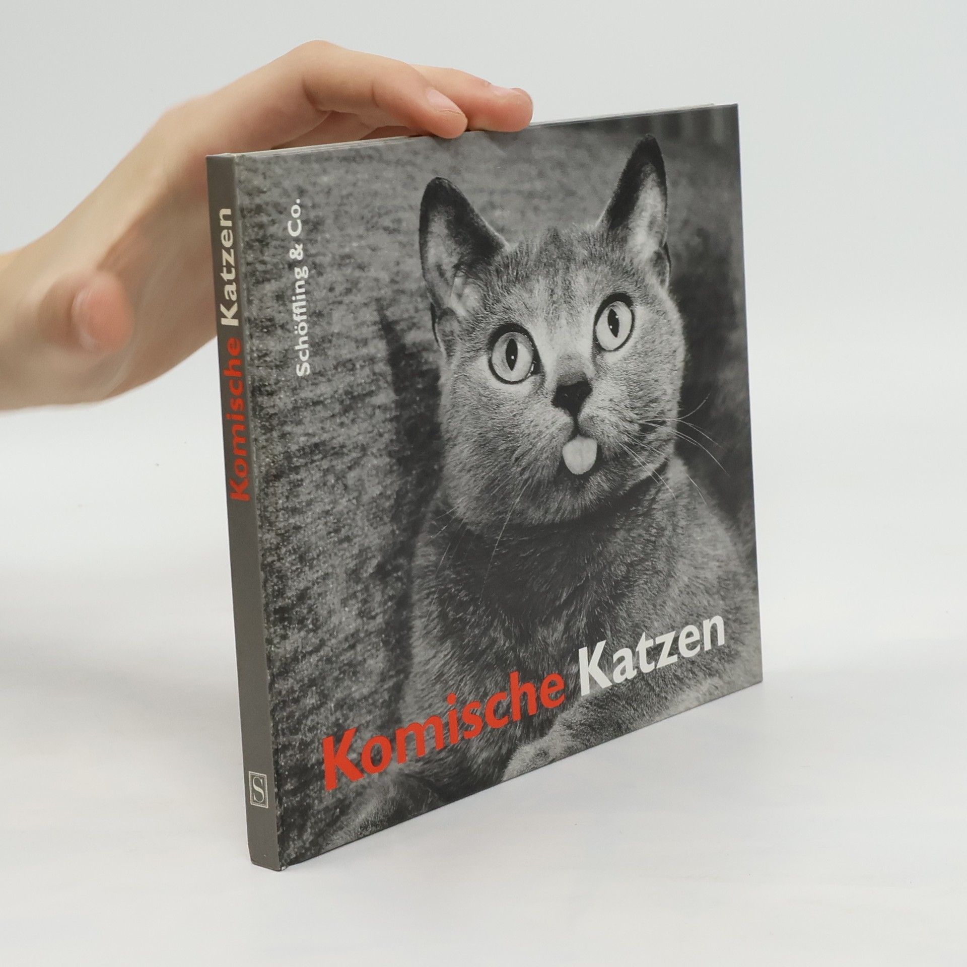 Julia Bachstein Komische Katzen