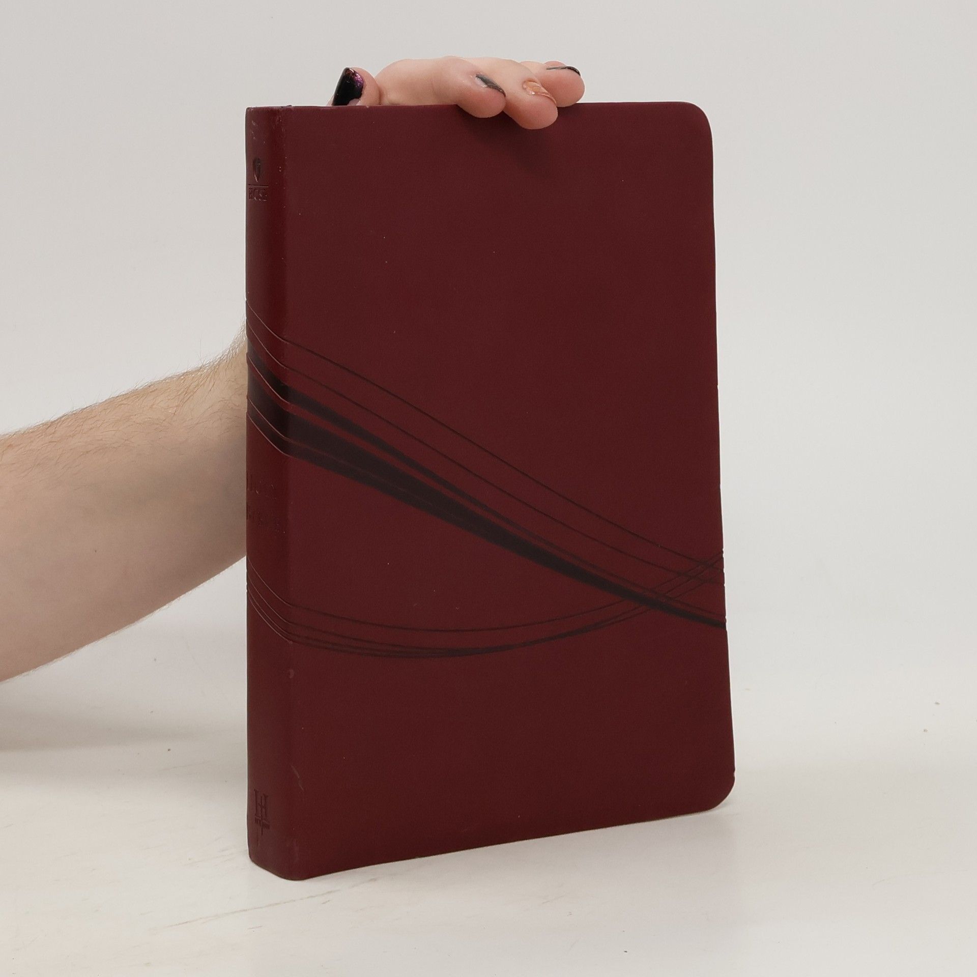 Kolektiv autorů Holman Christian Standard Bible