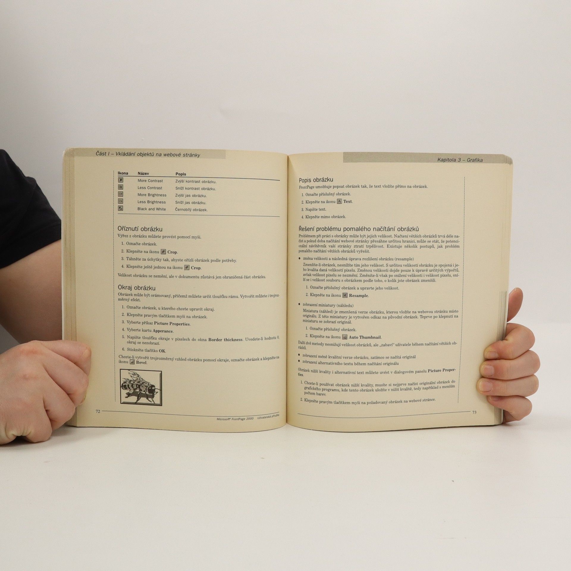 Tomáš Šimek Microsoft FrontPage 2000 : uživatelská příručka