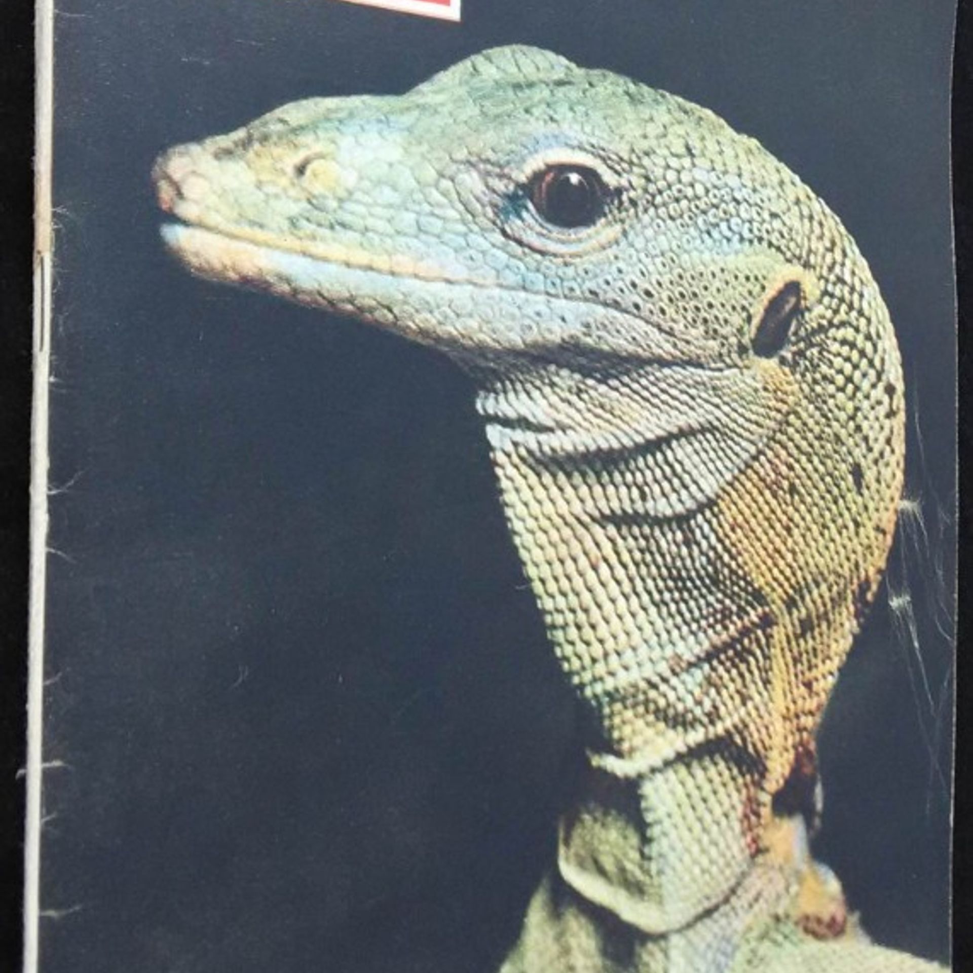 Kolektív autorov Větrník, č. 10. ročník II.