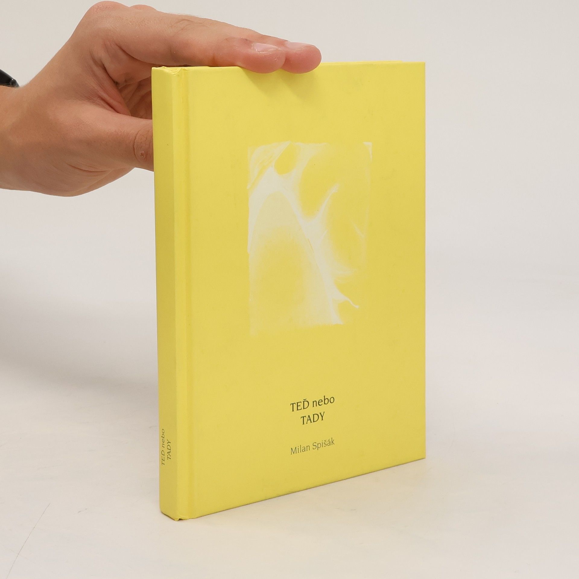 Milan Spišák Teď nebo tady