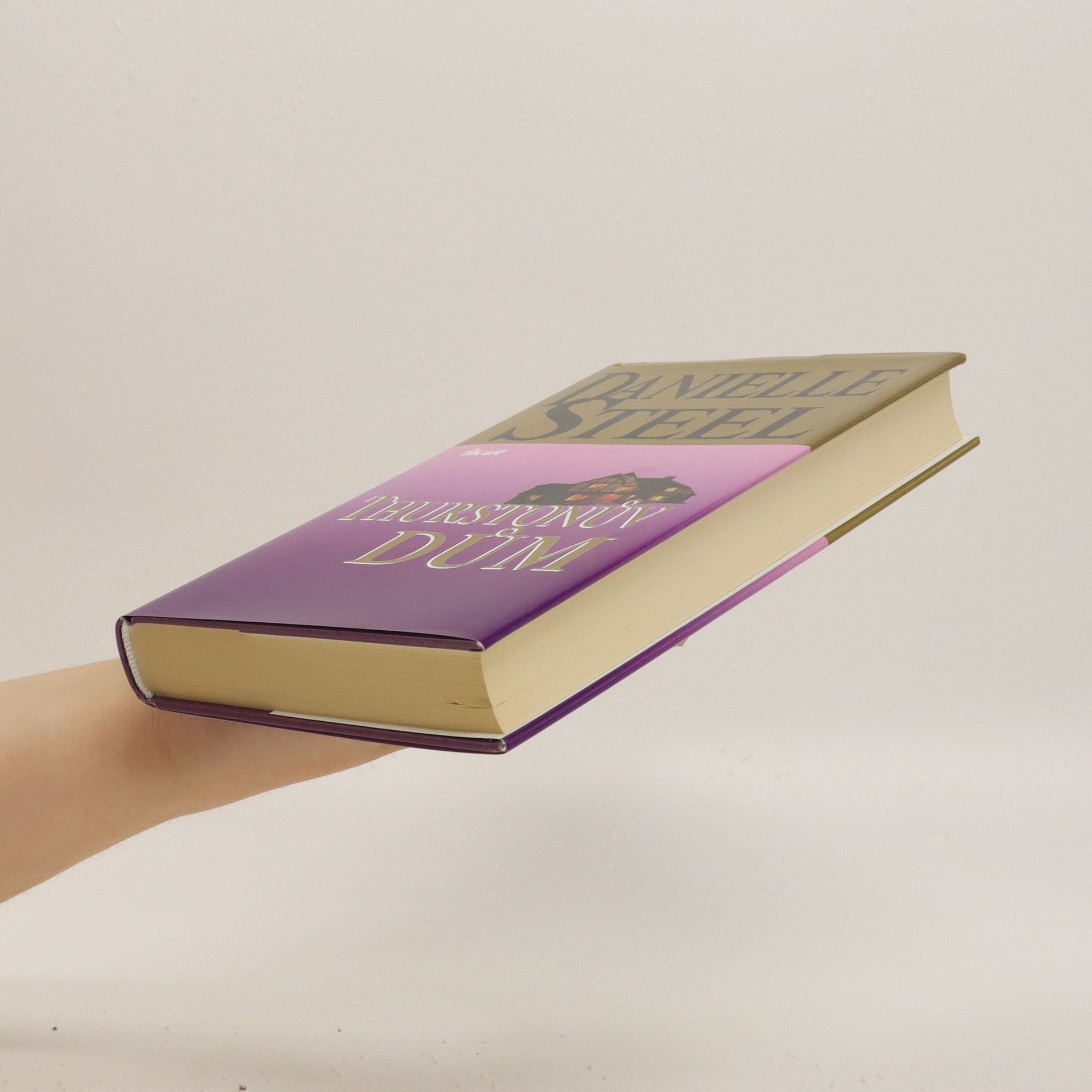 Danielle Steel Thurstonův dům