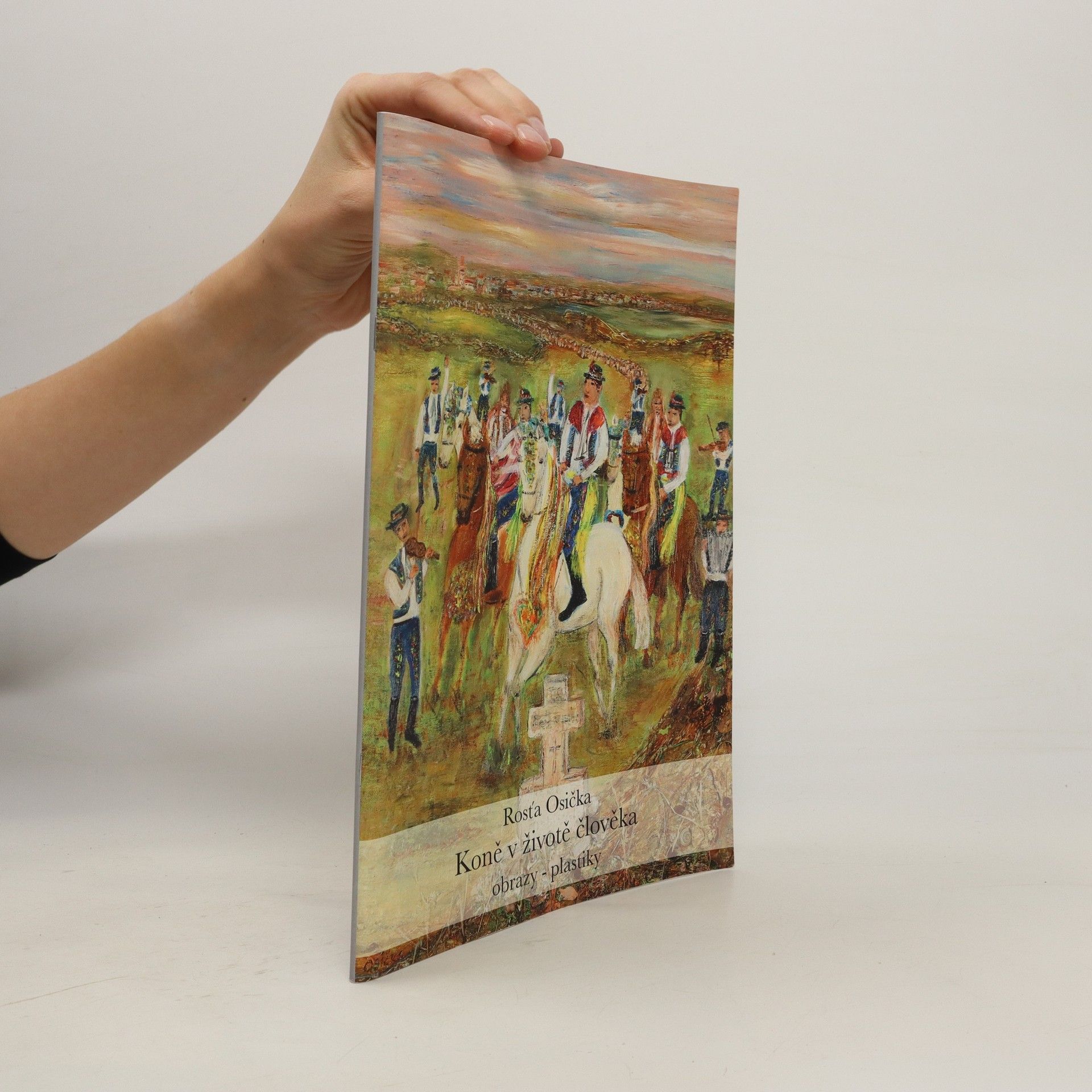Rosťa Osička Koně v životě člověka