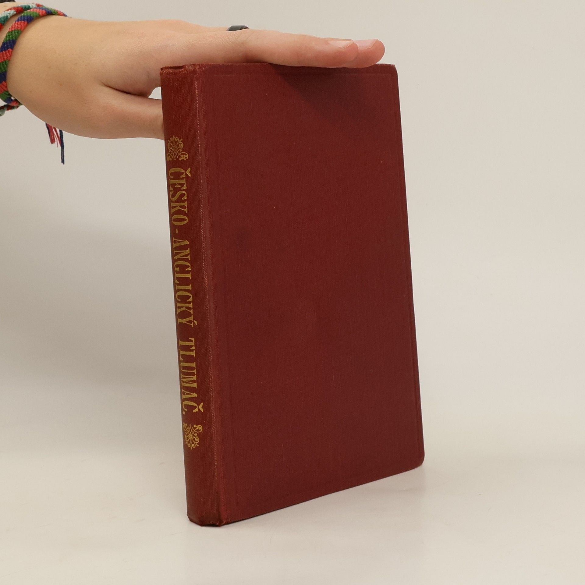 František B. Zdrůbek Česko-anglický tlumač