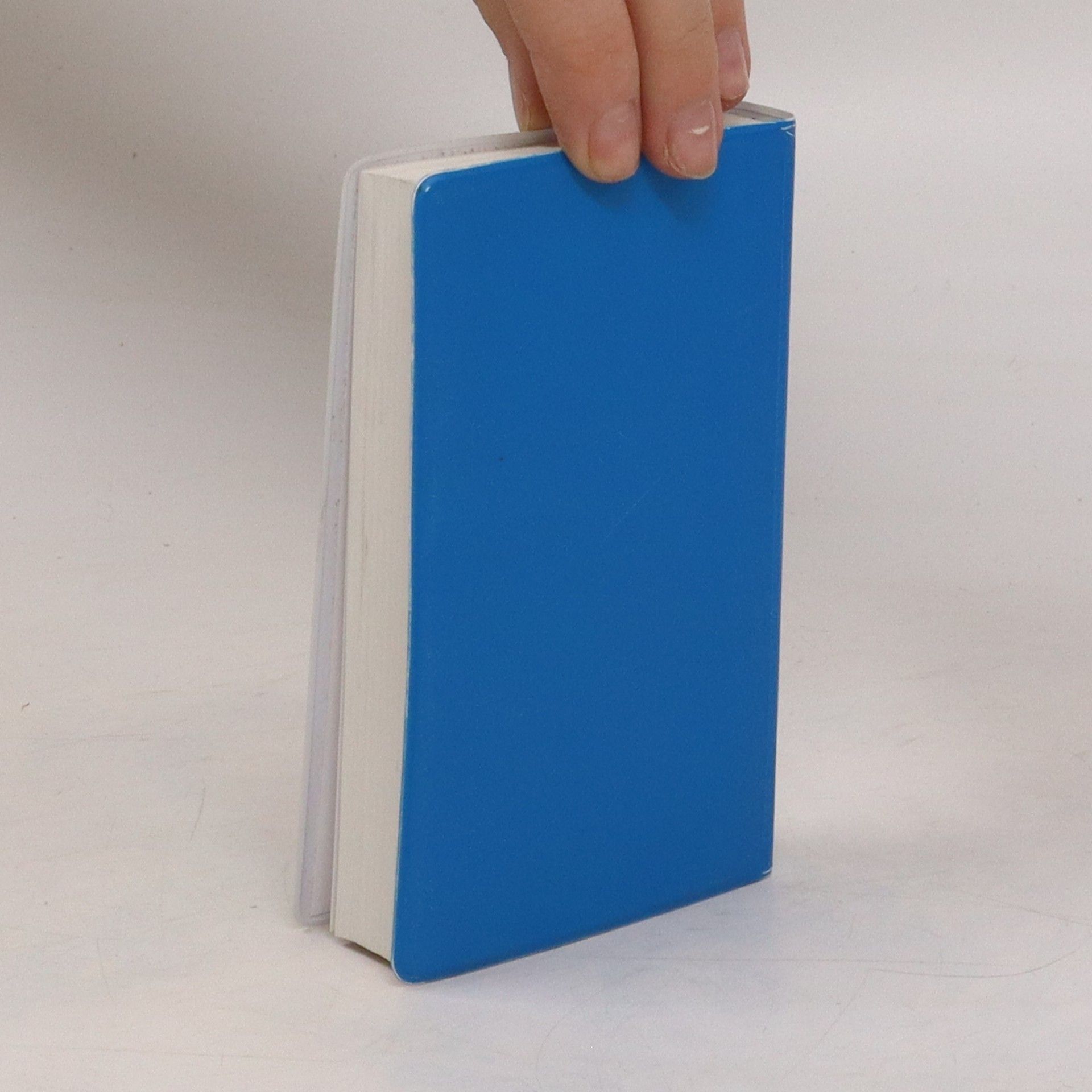 Autorenkollektiv Bibel. Neues Testament mit Psalmen Sprüchen