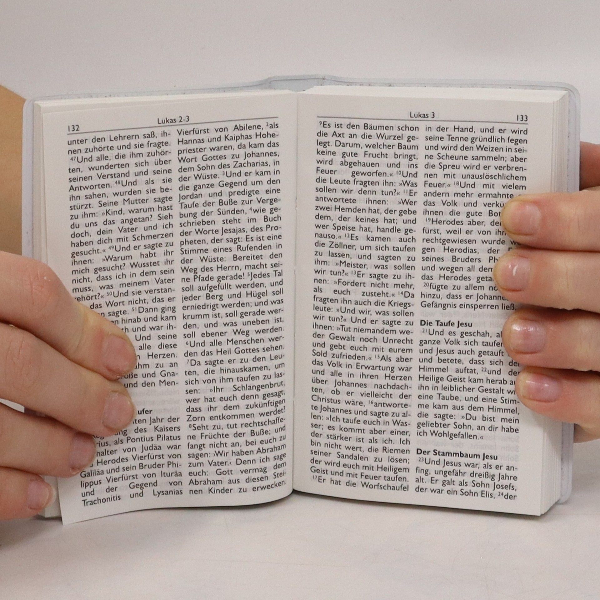 Autorenkollektiv Bibel. Neues Testament mit Psalmen Sprüchen