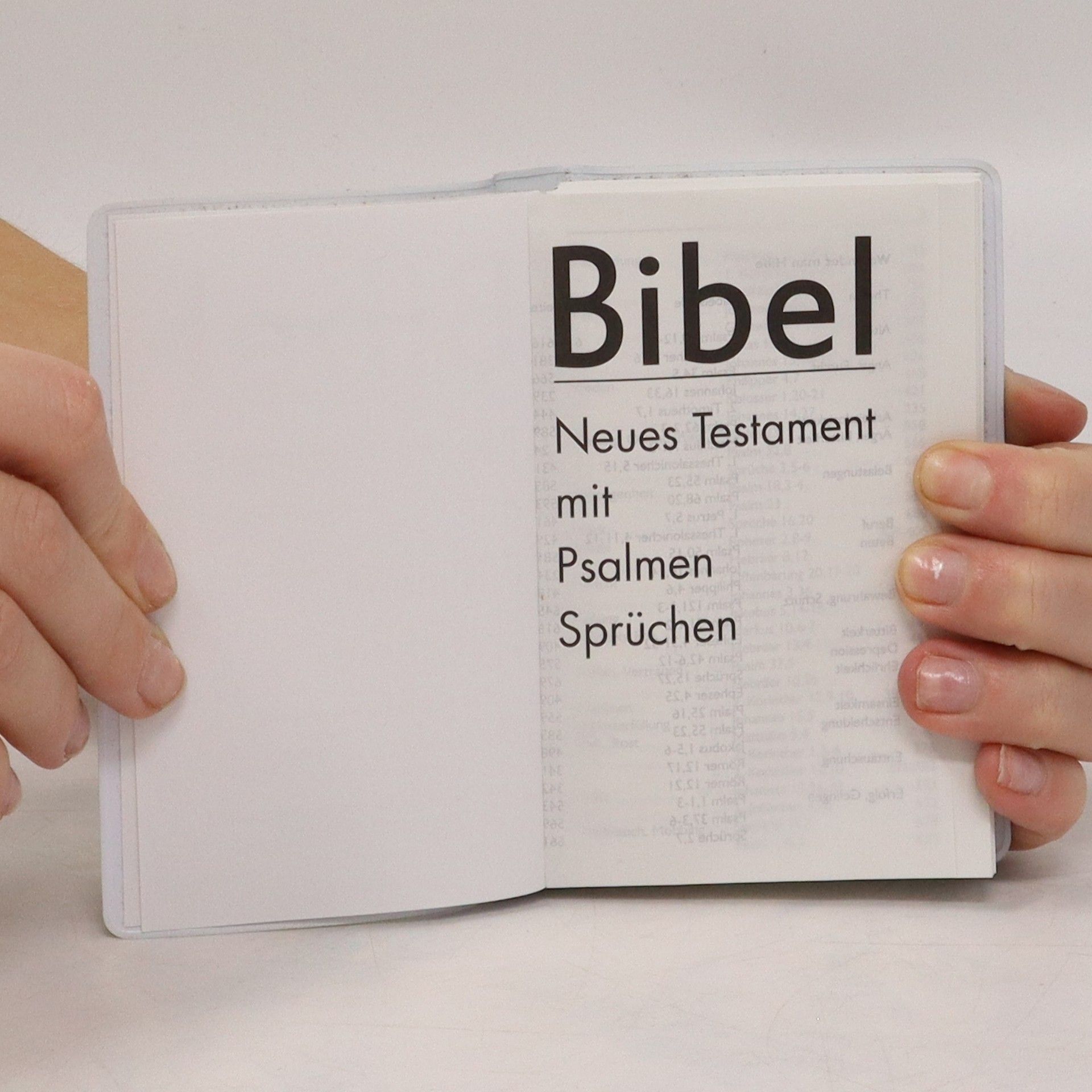 Autorenkollektiv Bibel. Neues Testament mit Psalmen Sprüchen