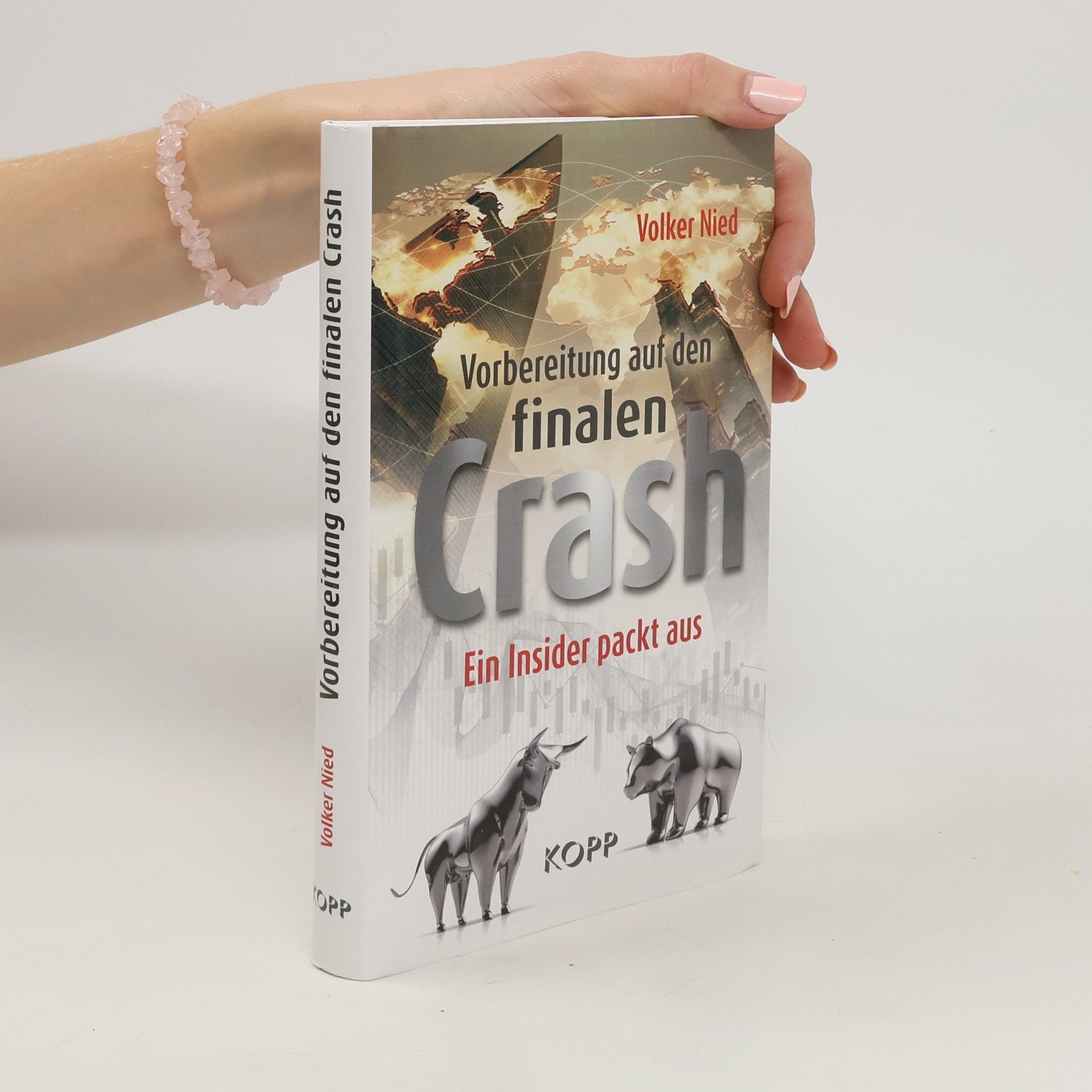 Volker Nied Vorbereitung auf den finalen Crash