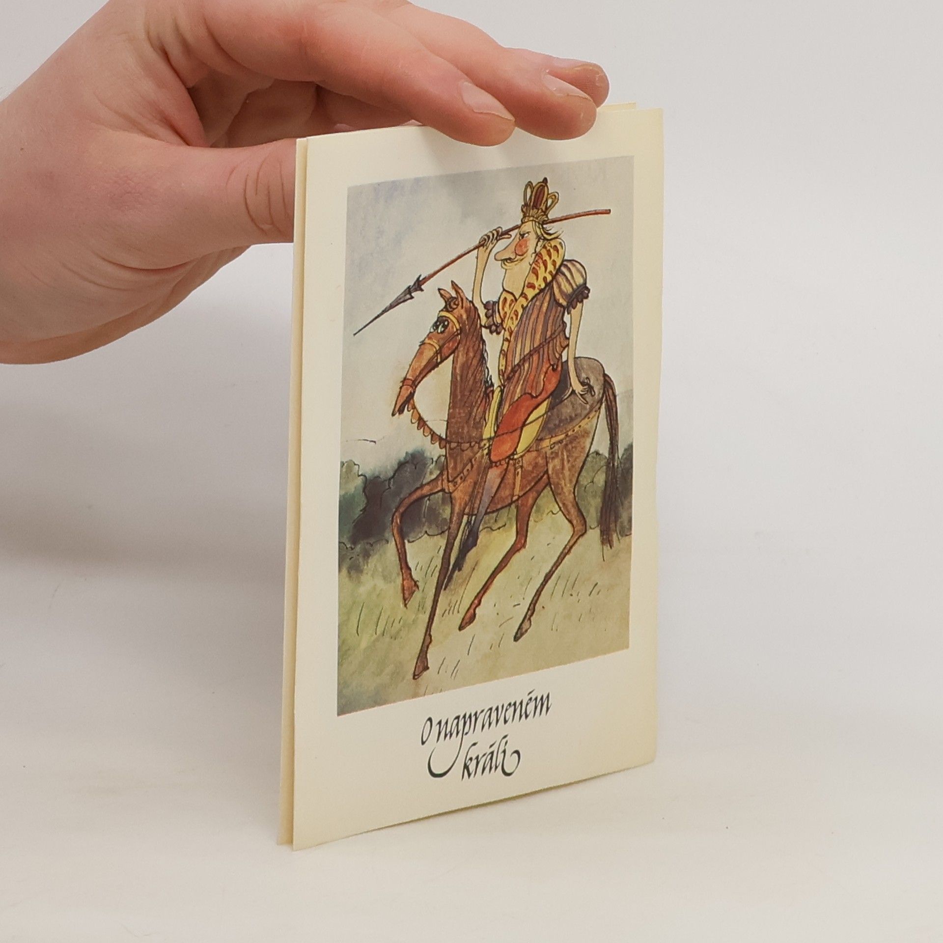 Kolektiv autorů O napraveném králi