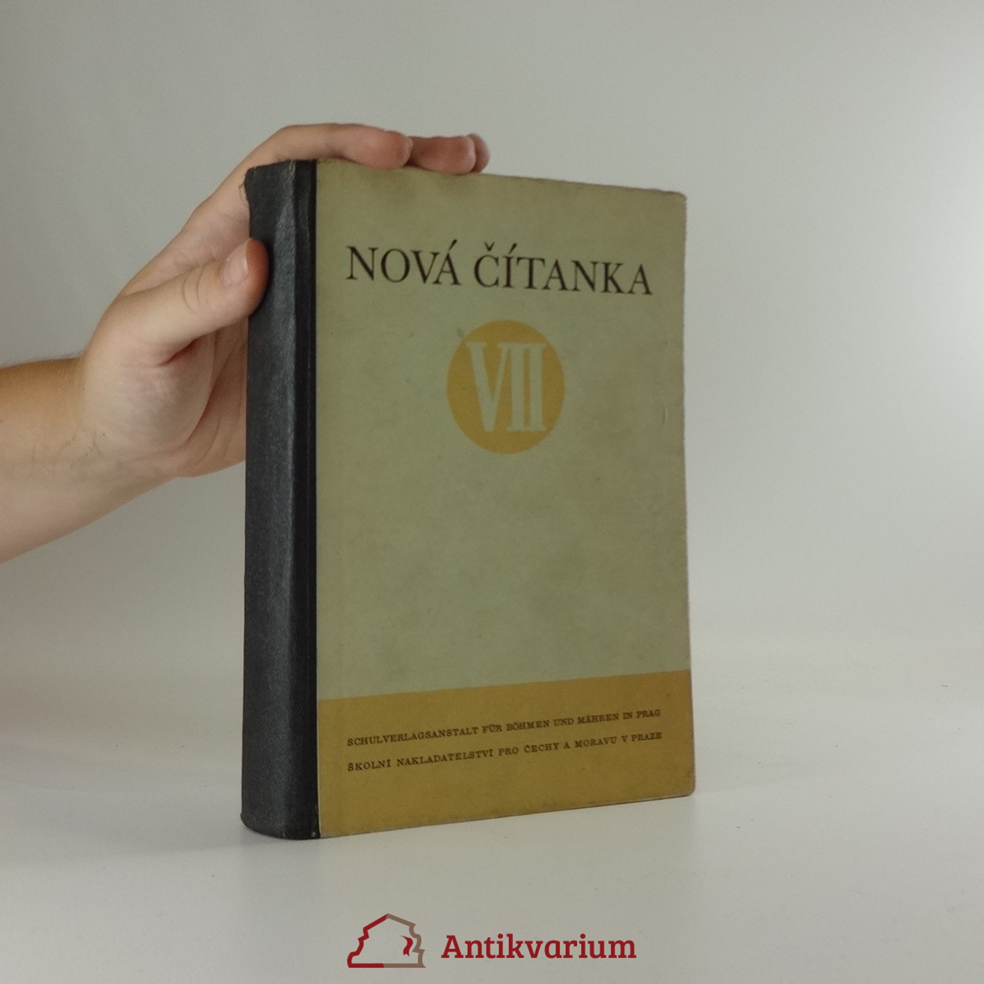 Kolektiv autorů Nová čítanka. VII.