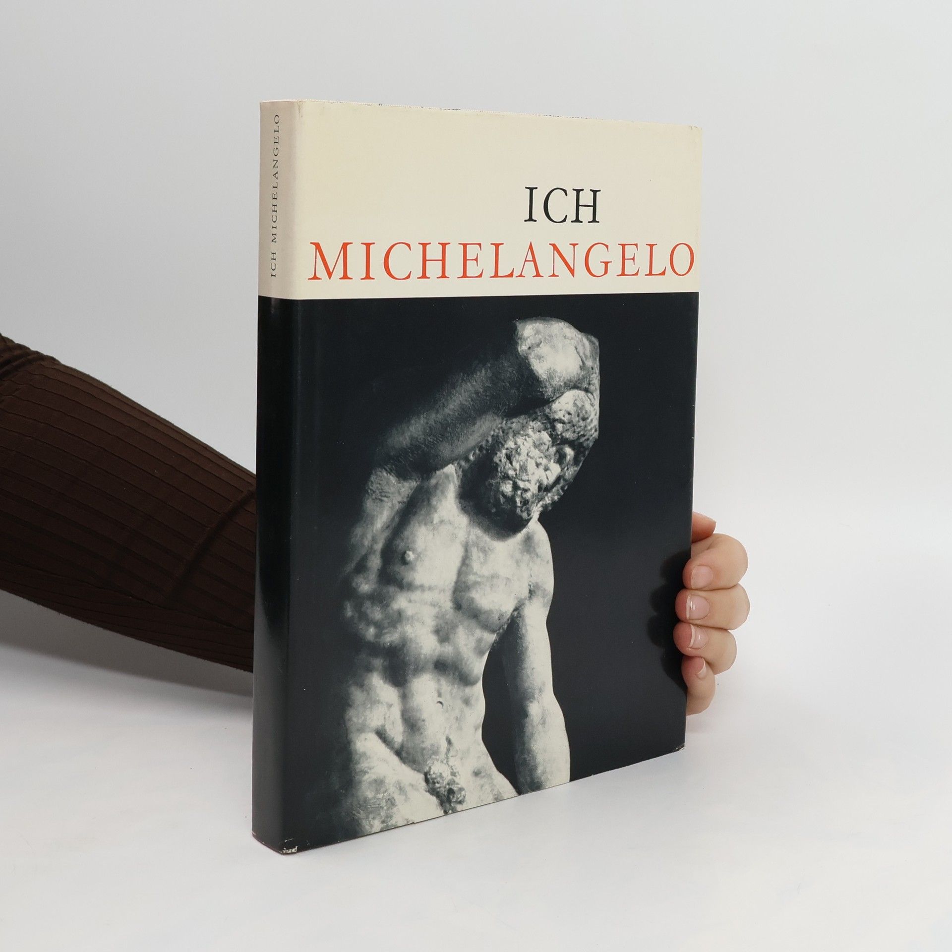 Autorenkollektiv Ich Michelangelo