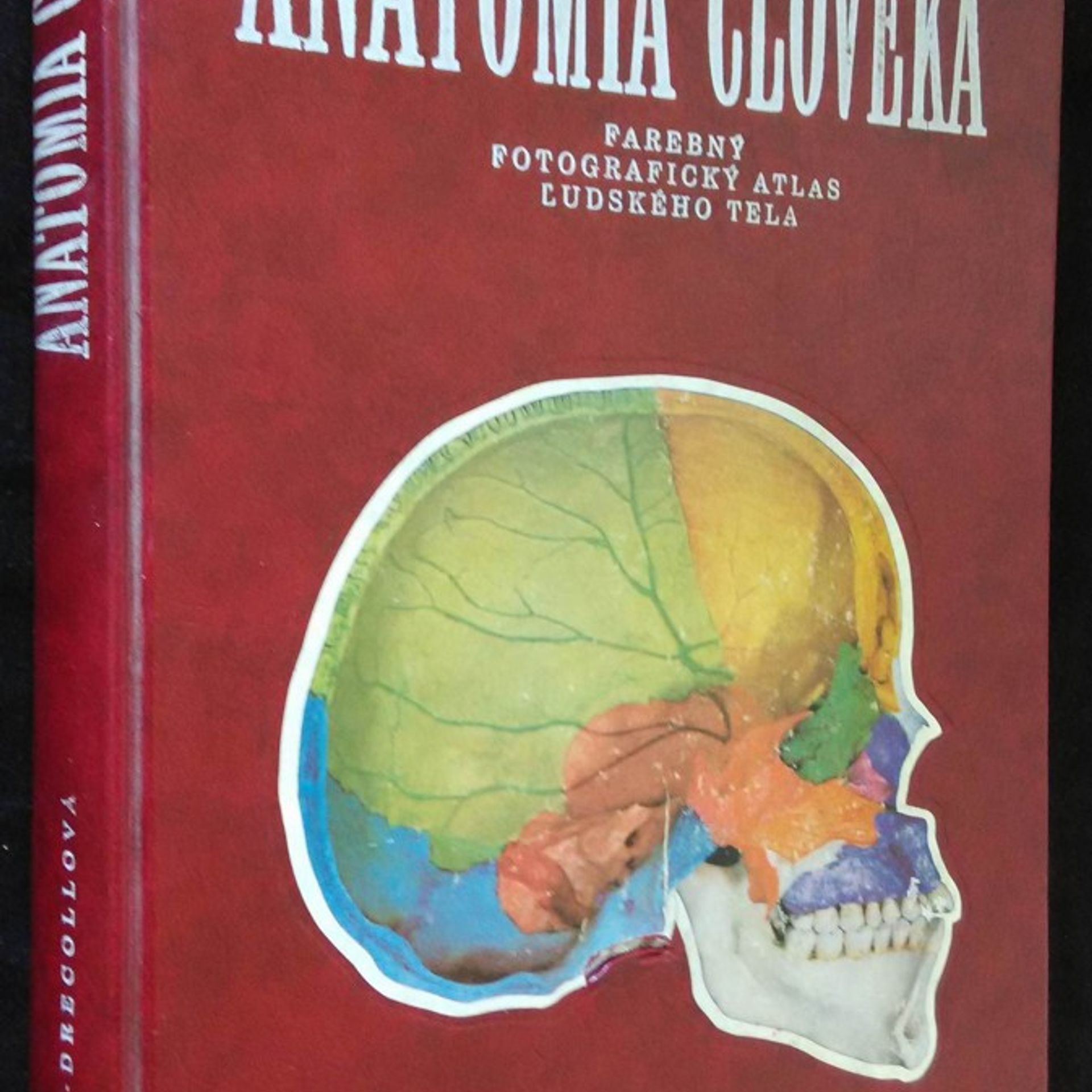 Various authors Anatómia človeka