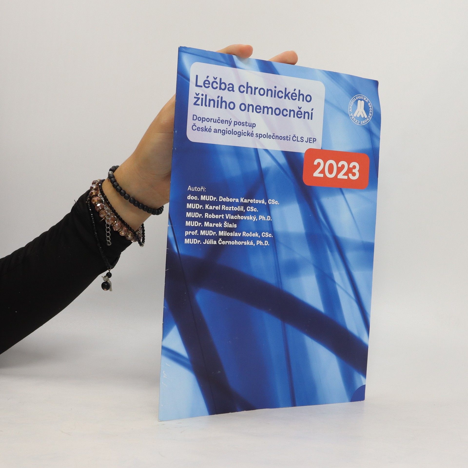 Collectif d'auteurs Léčba chronického žilního onemocnění