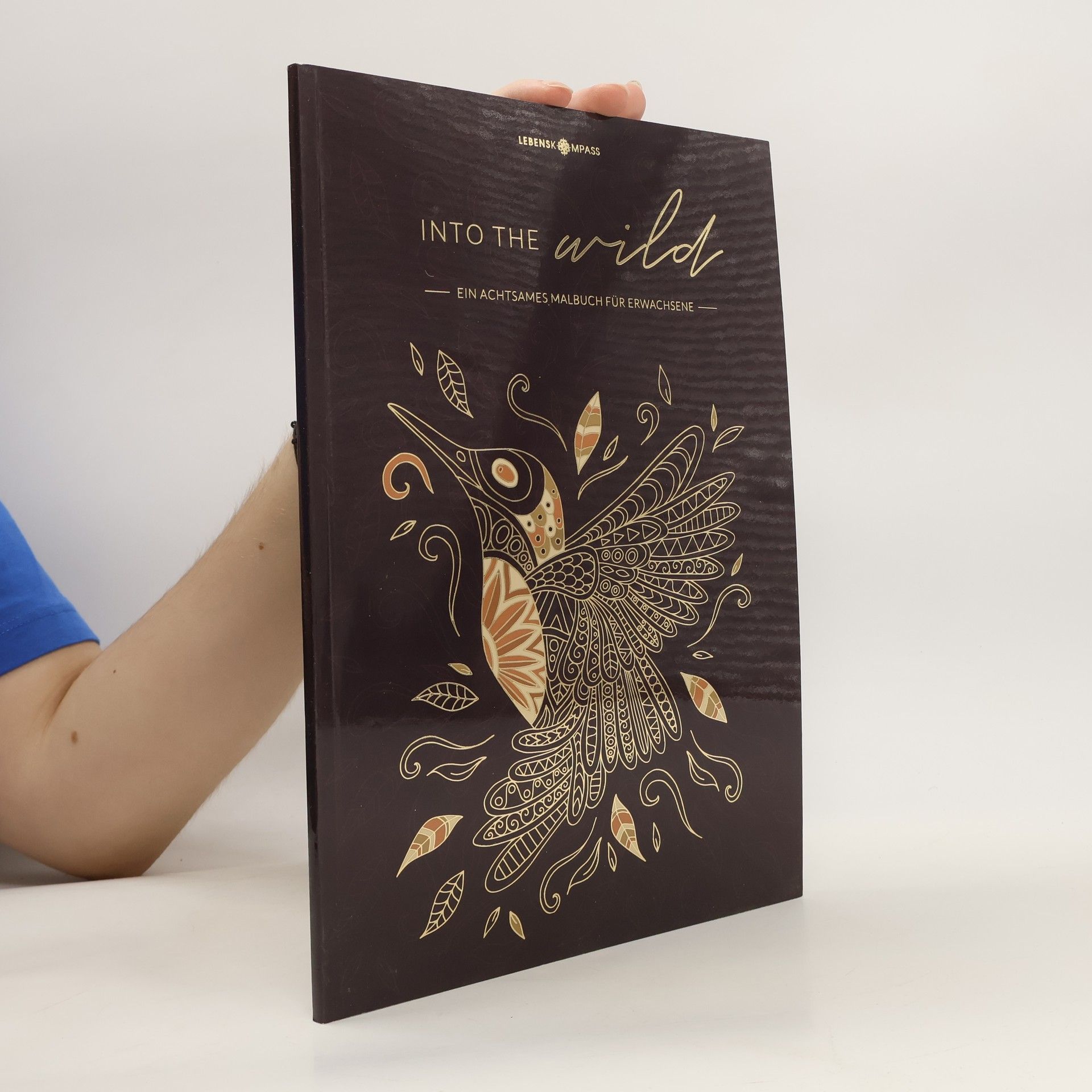 Collectif d'auteurs Into the Wild