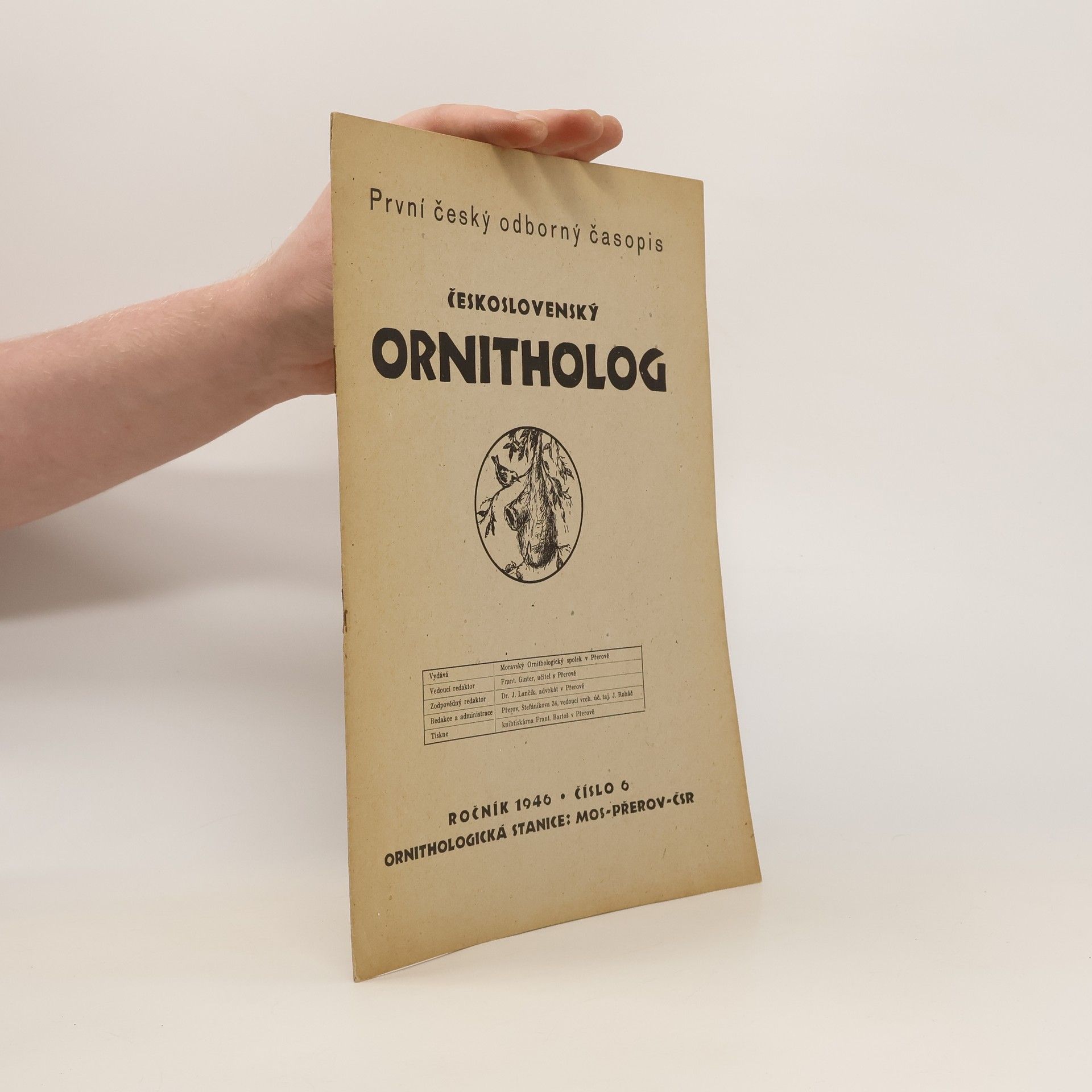 Autorenkollektiv Československý ornitholog. Číslo 6