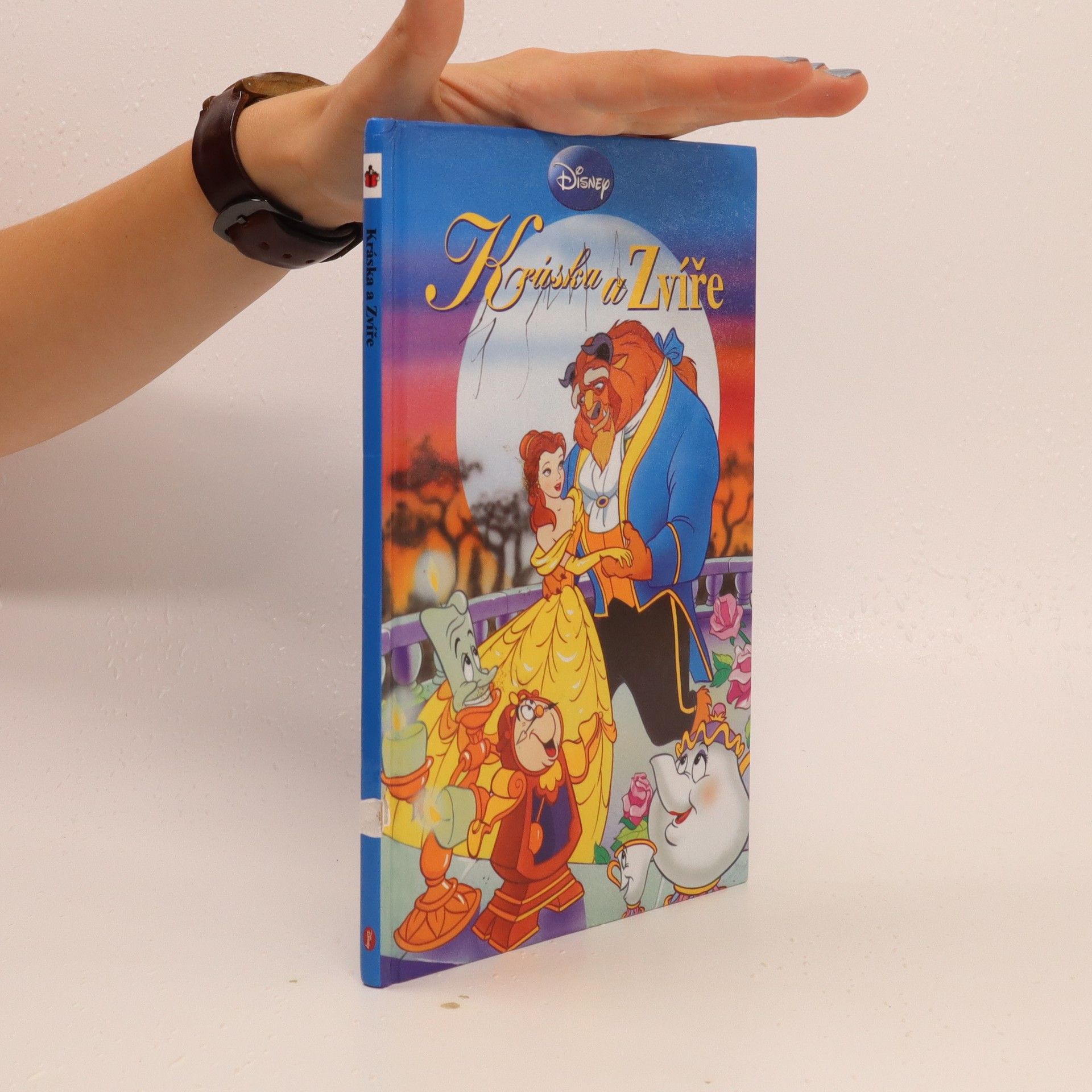 Walt Disney Kráska a Zvíře