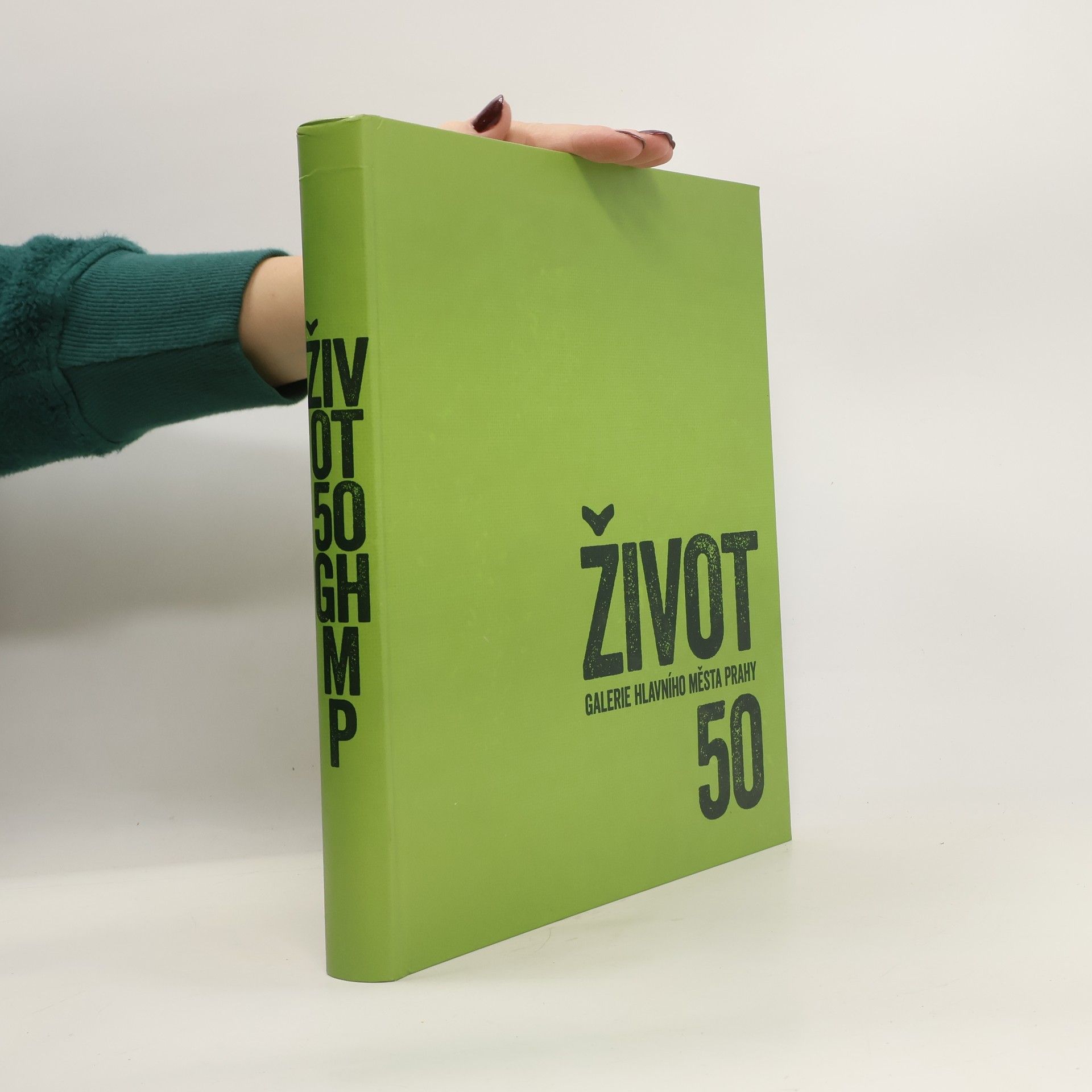 Hana Rousová Život Galerie hlavního města Prahy 50