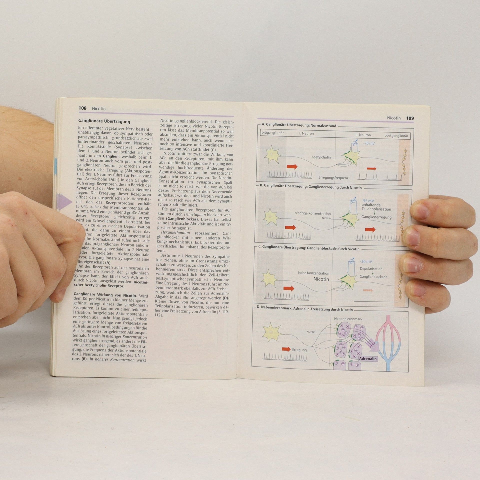 Heinz Lüllmann Taschenatlas der Pharmakologie