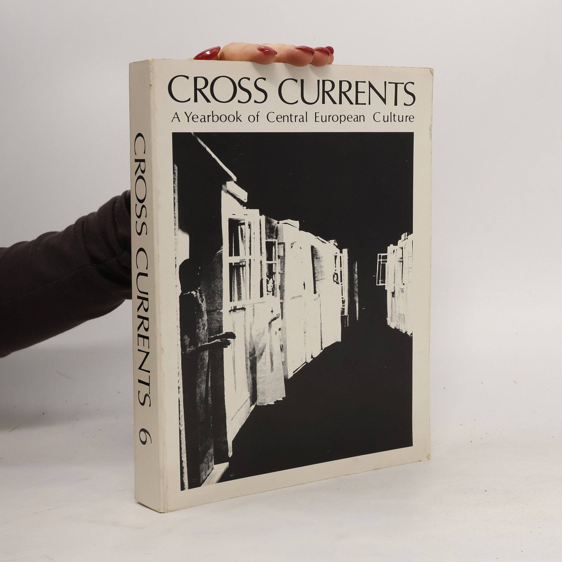 Collectif d'auteurs Cross Currents a Yearbook of Central European Culture 6