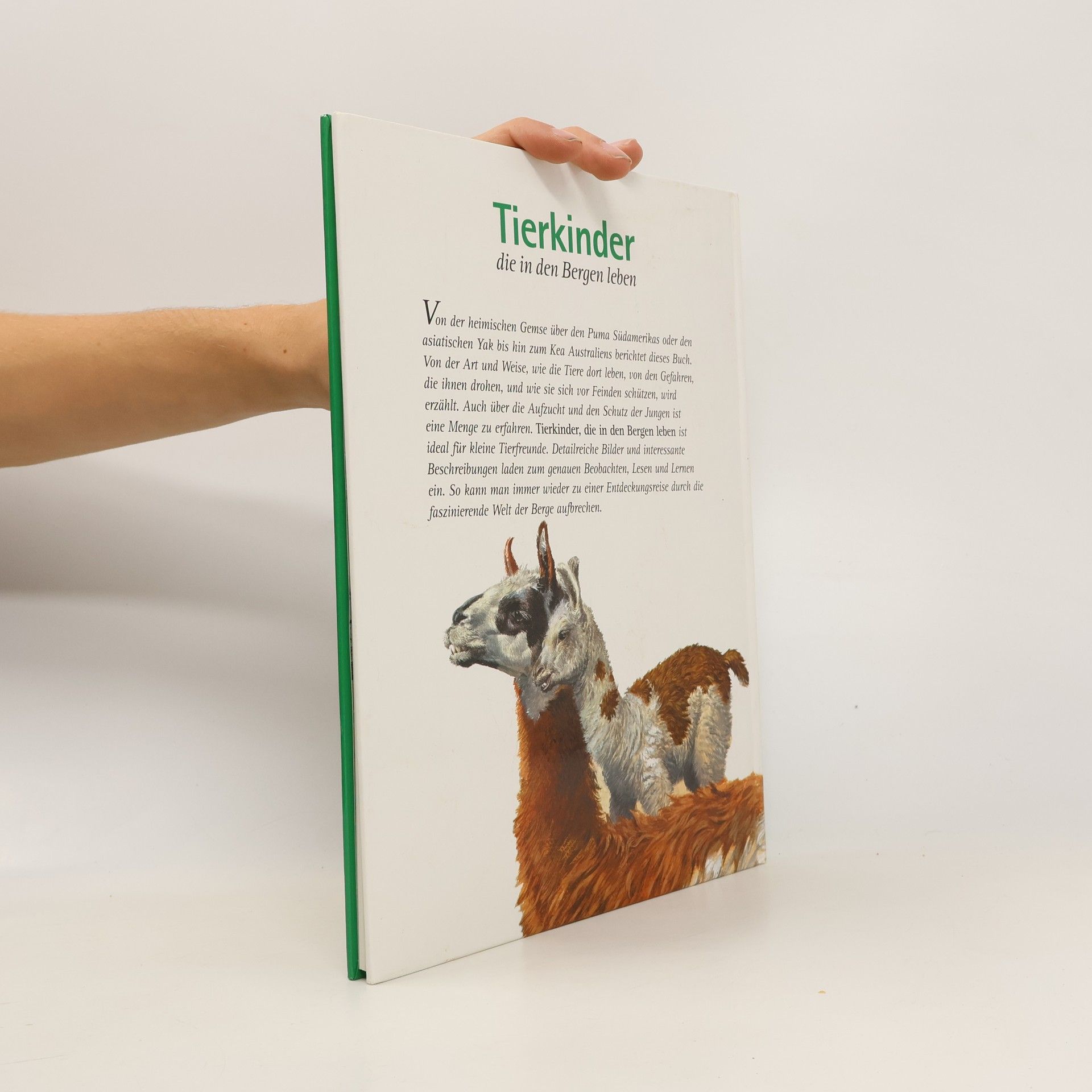 kolektiv Tierkinder die in den Bergen leben