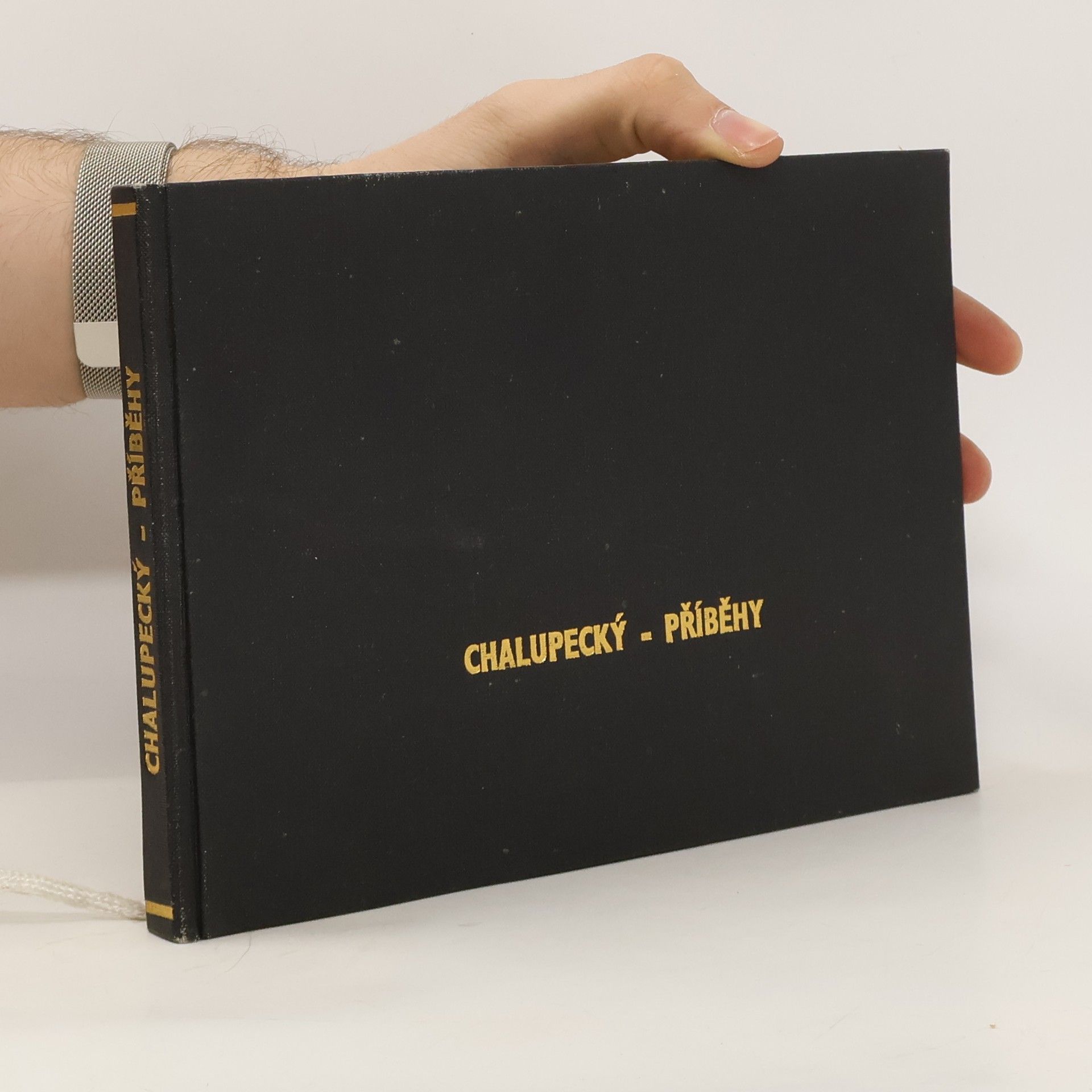 Kolektív autorov Chalupecký - Příběhy