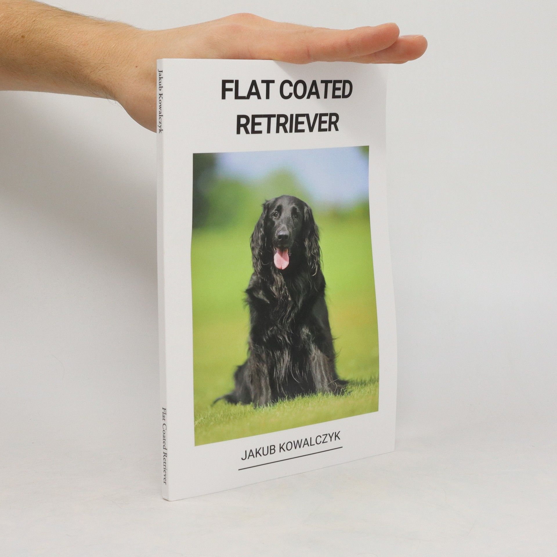 Jakub Kowalczyk Flat Coated Retriever