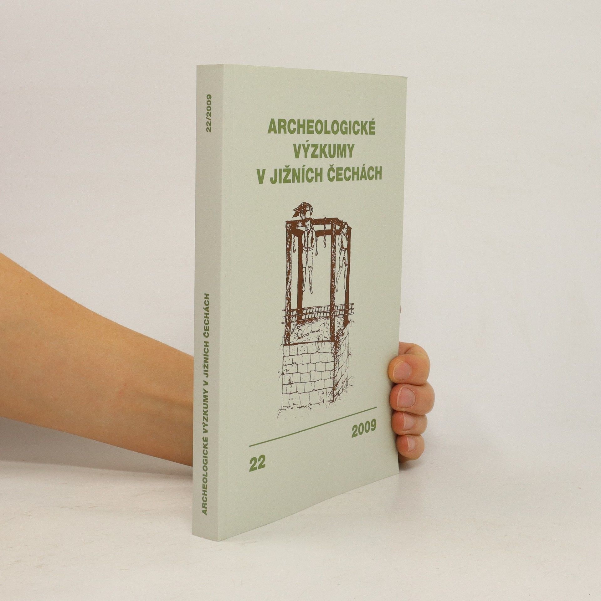 Kolektiv autorů Archeologické výzkumy v jižních Čechách 22/2009