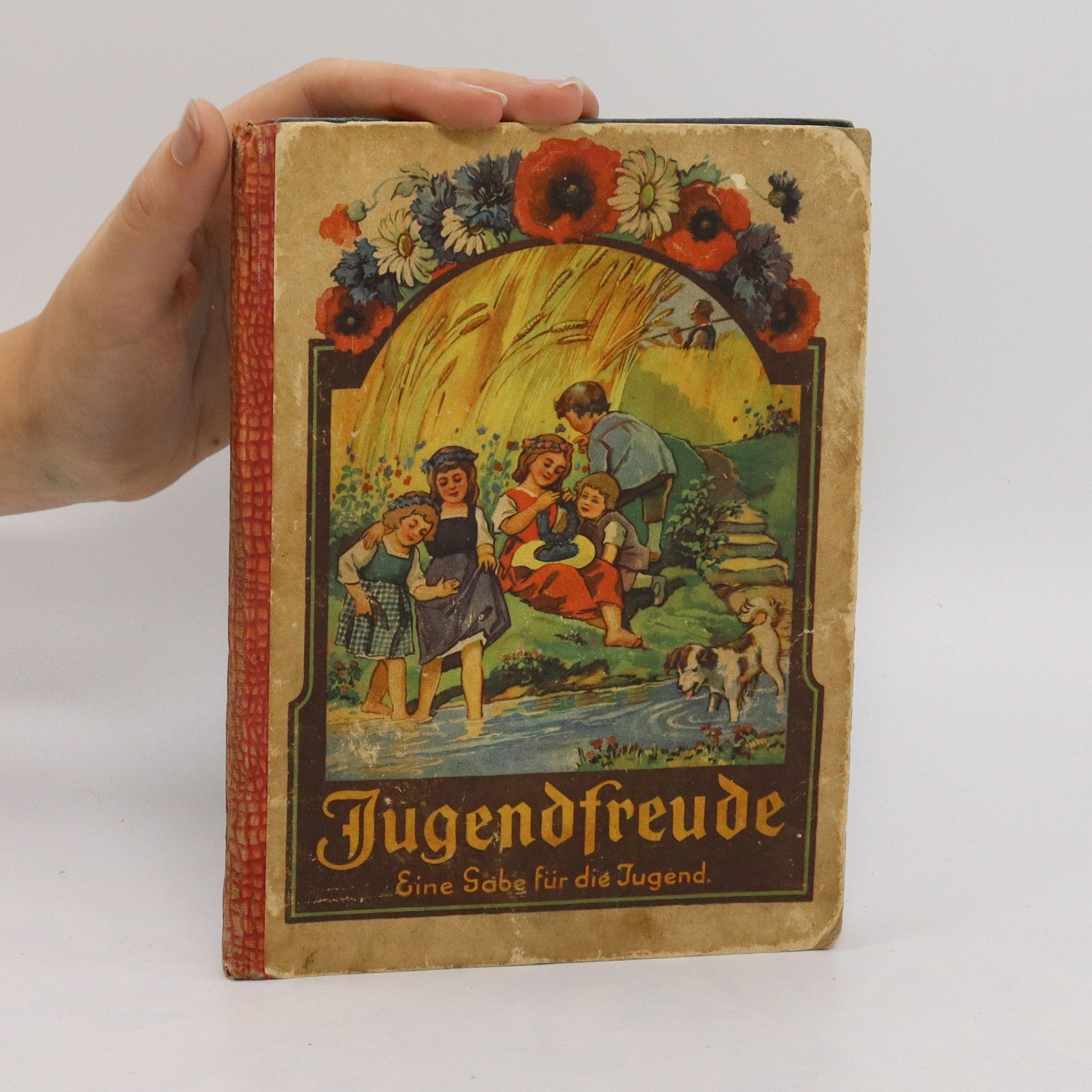 kolektiv Jugendfreude. Eine Sabe für die Jugend