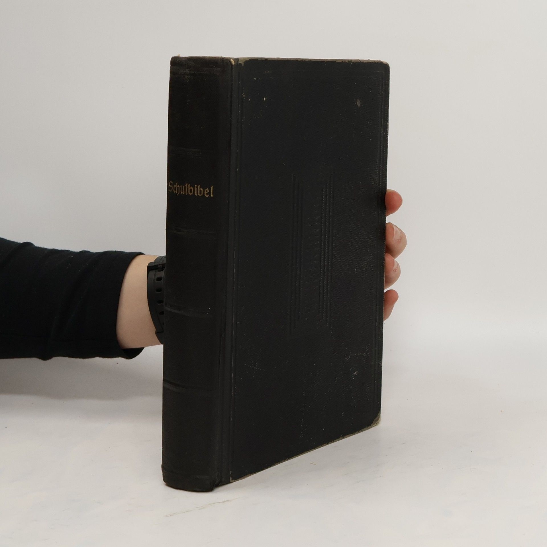 Autorenkollektiv Schulbibel