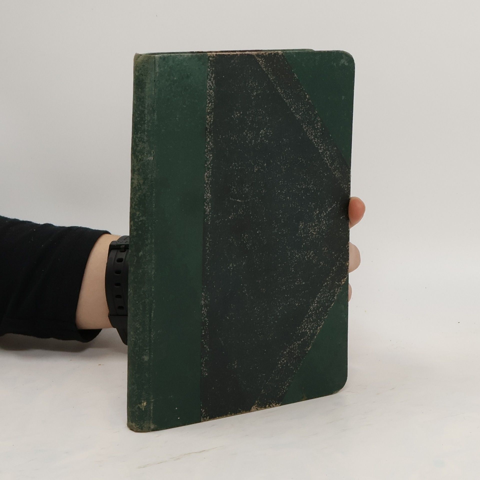 Autorenkollektiv Geschichte und Denkwürdigkeiten der Stadt Schongan