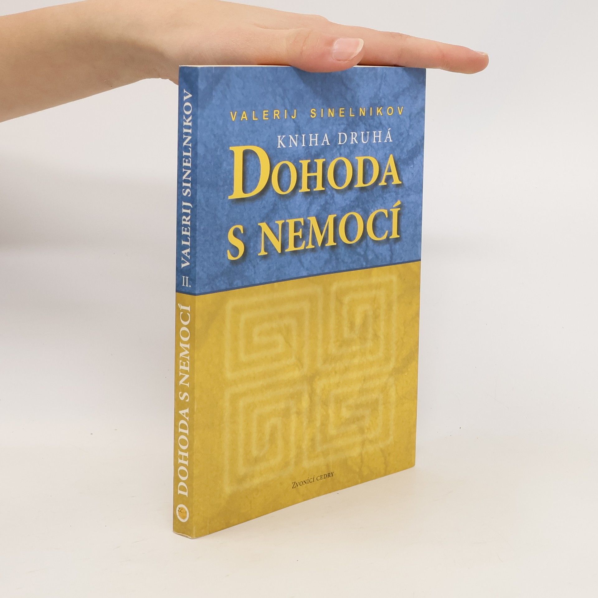 Valerij Vladimirovič Sinelnikov Dohoda s nemocí. Kniha druhá
