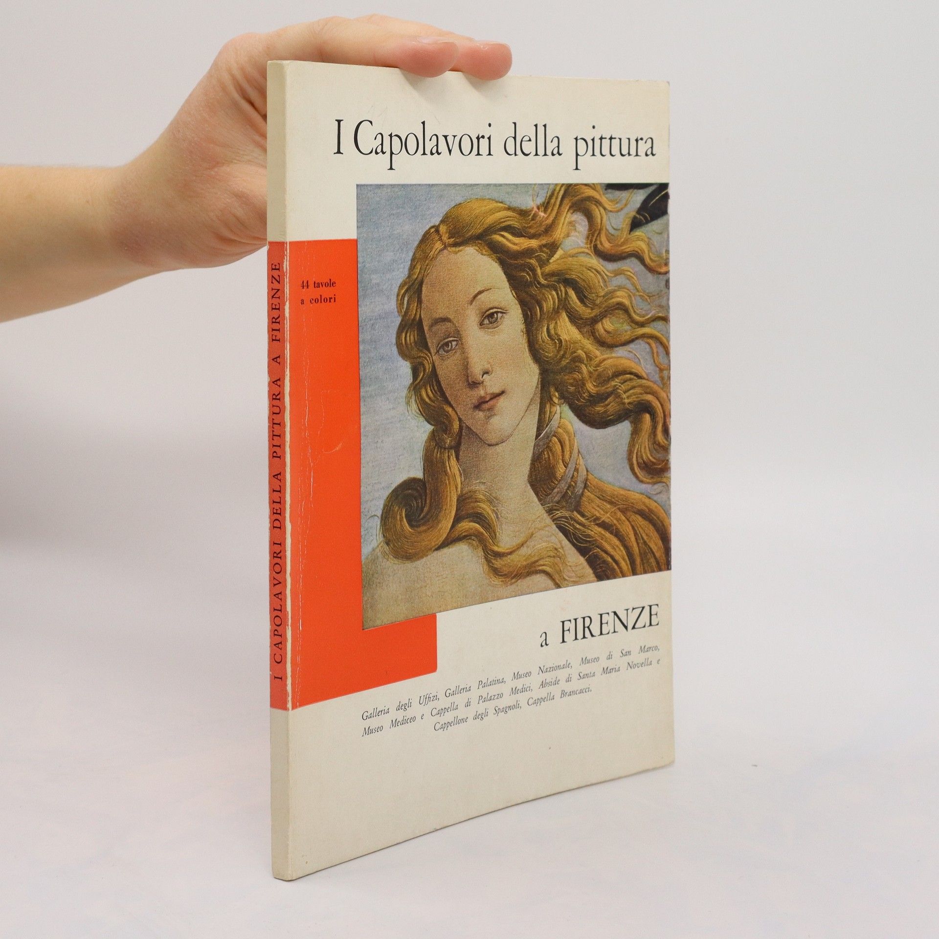Collectif d'auteurs I Capolavori della pittura italiana a Firenze
