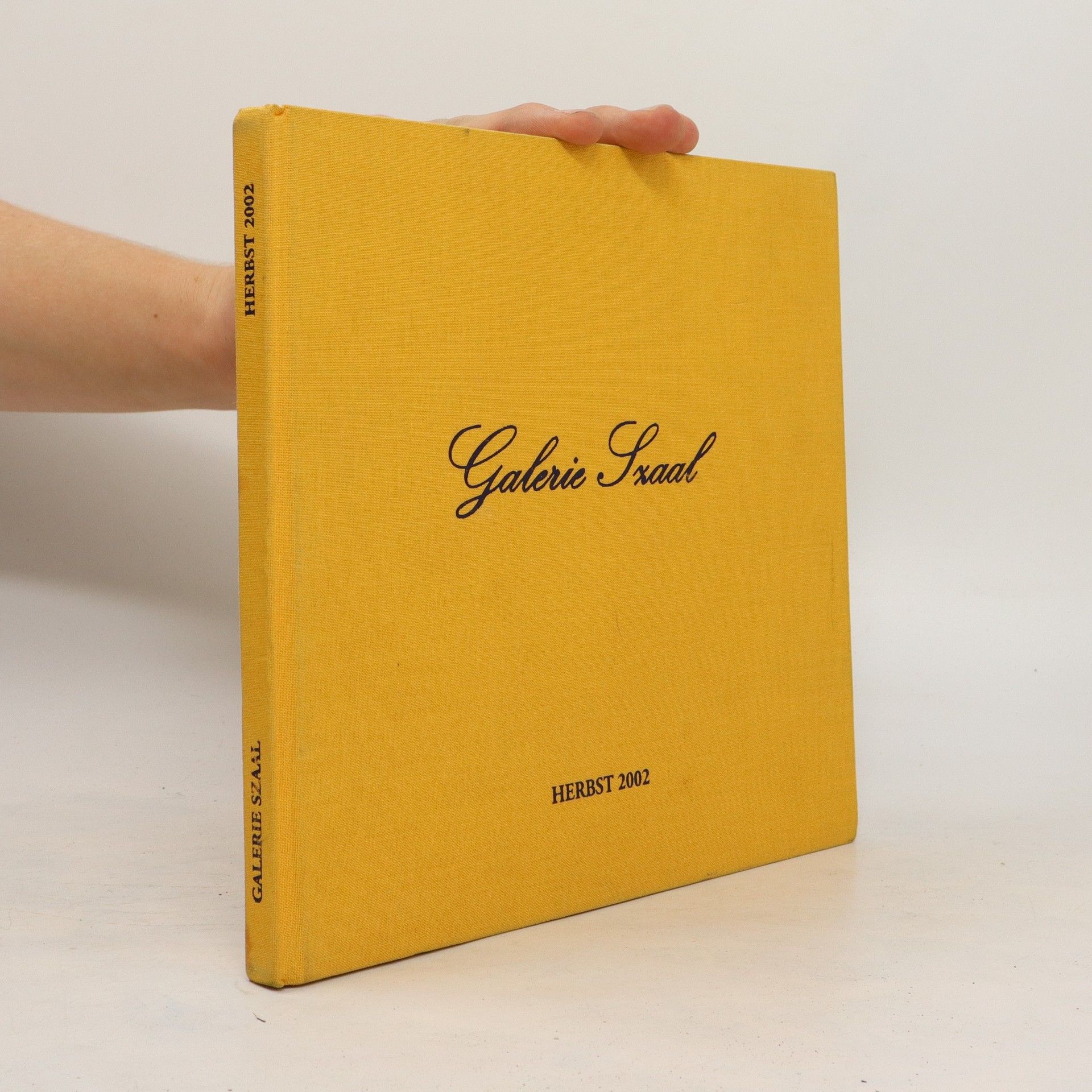 Autorenkollektiv Galerie Szaal. Herbst 2002