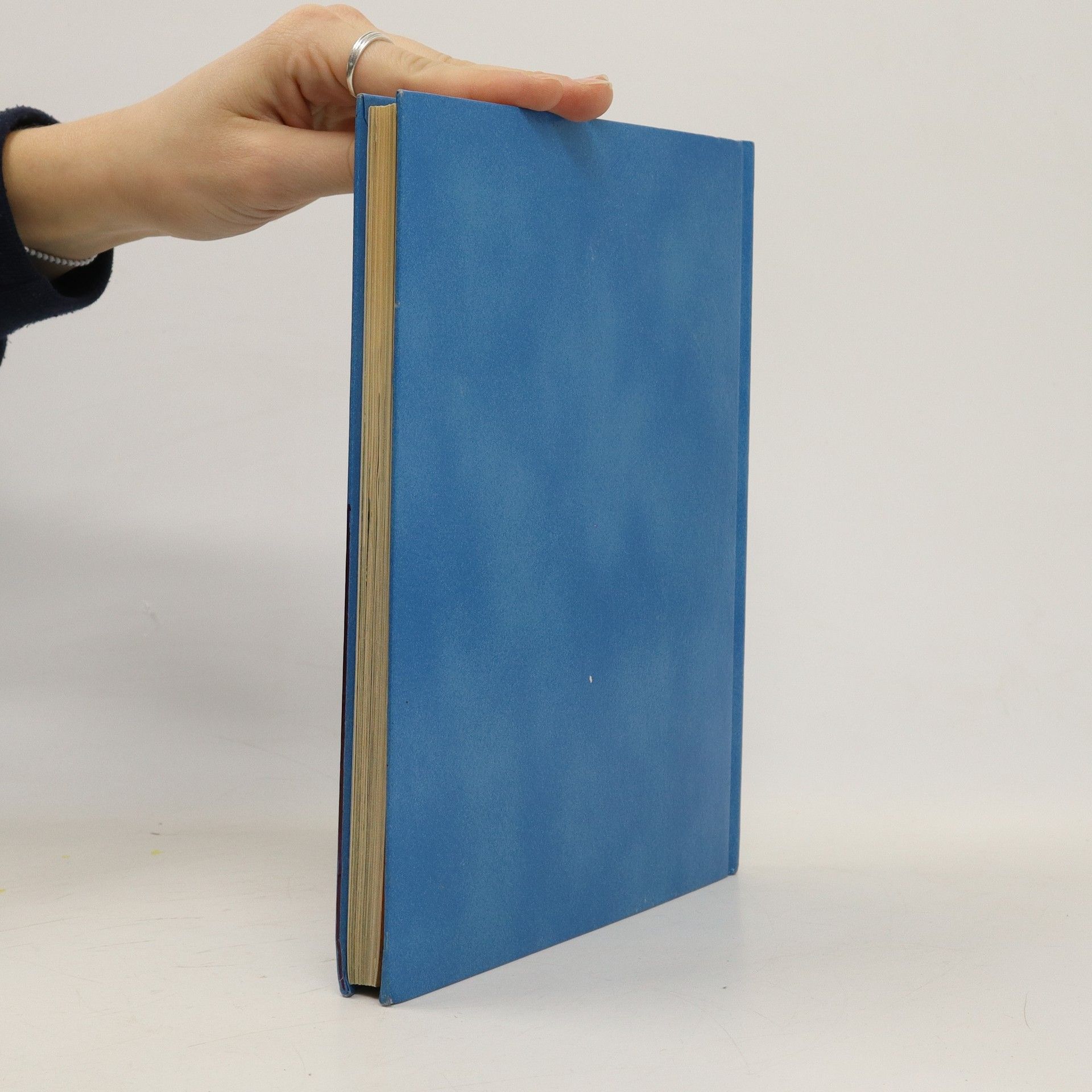 Autorenkollektiv Mein Buch mit biblischen Geschichten