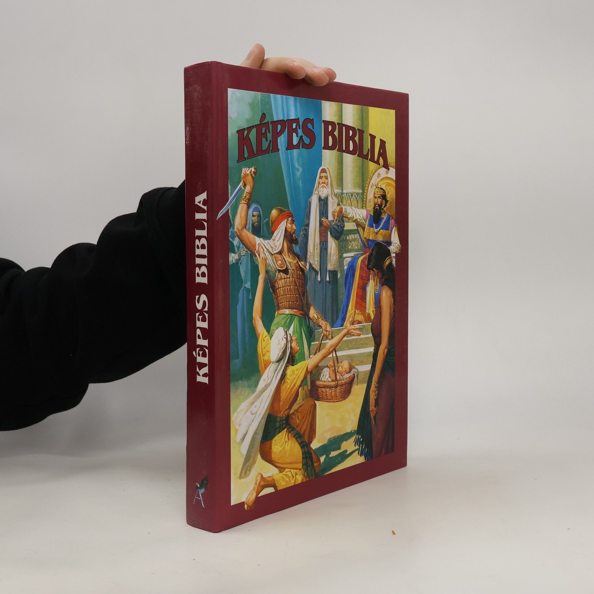 AA.VV. Képes Biblia