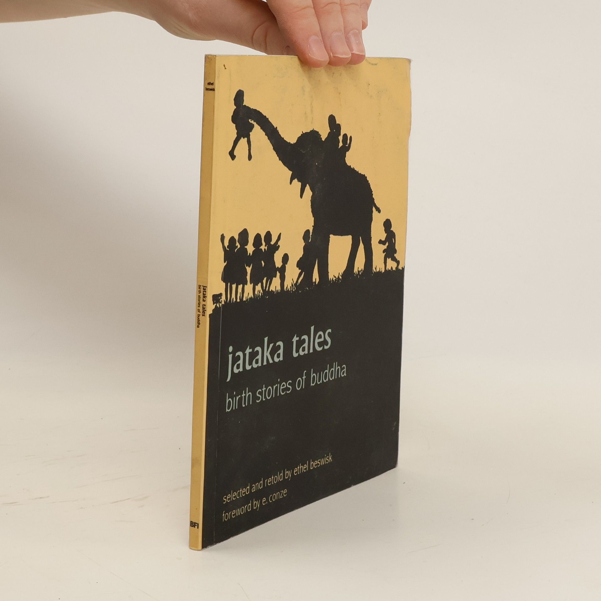 Kolektiv autorů Jataka Tales. Birth Stories of Buddha