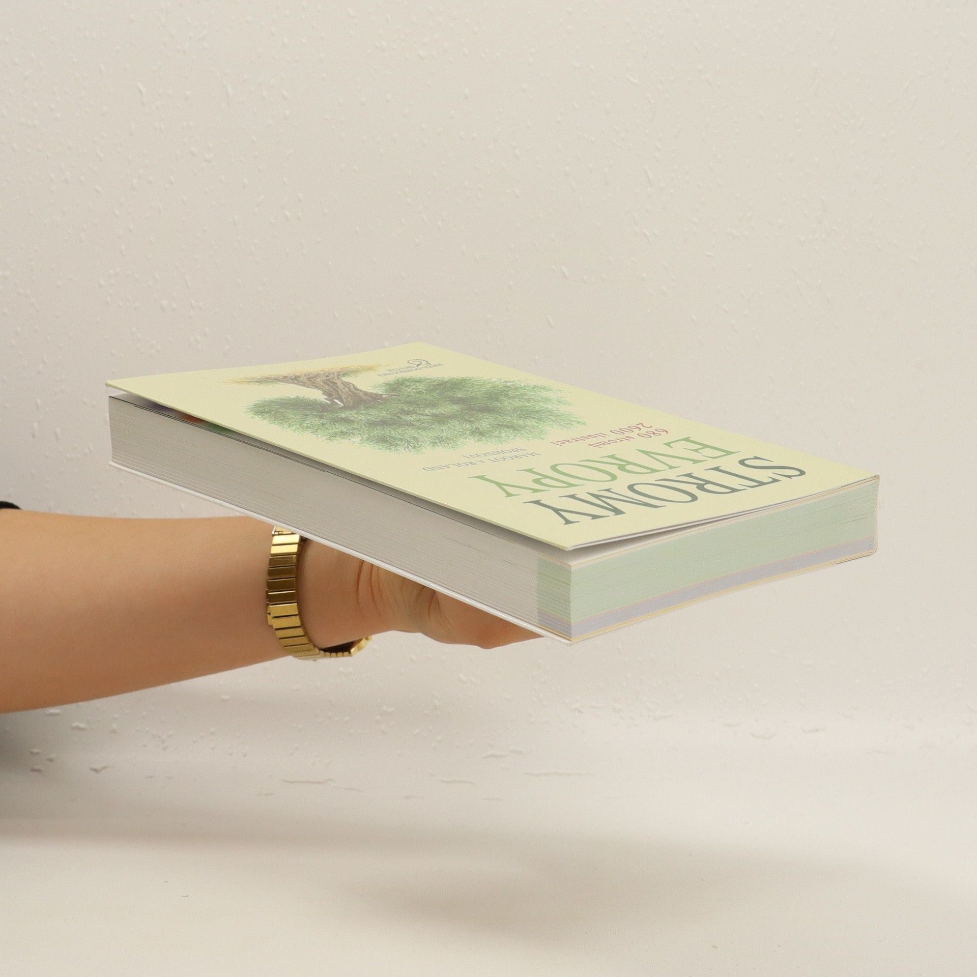 Margot Spohn Stromy Evropy