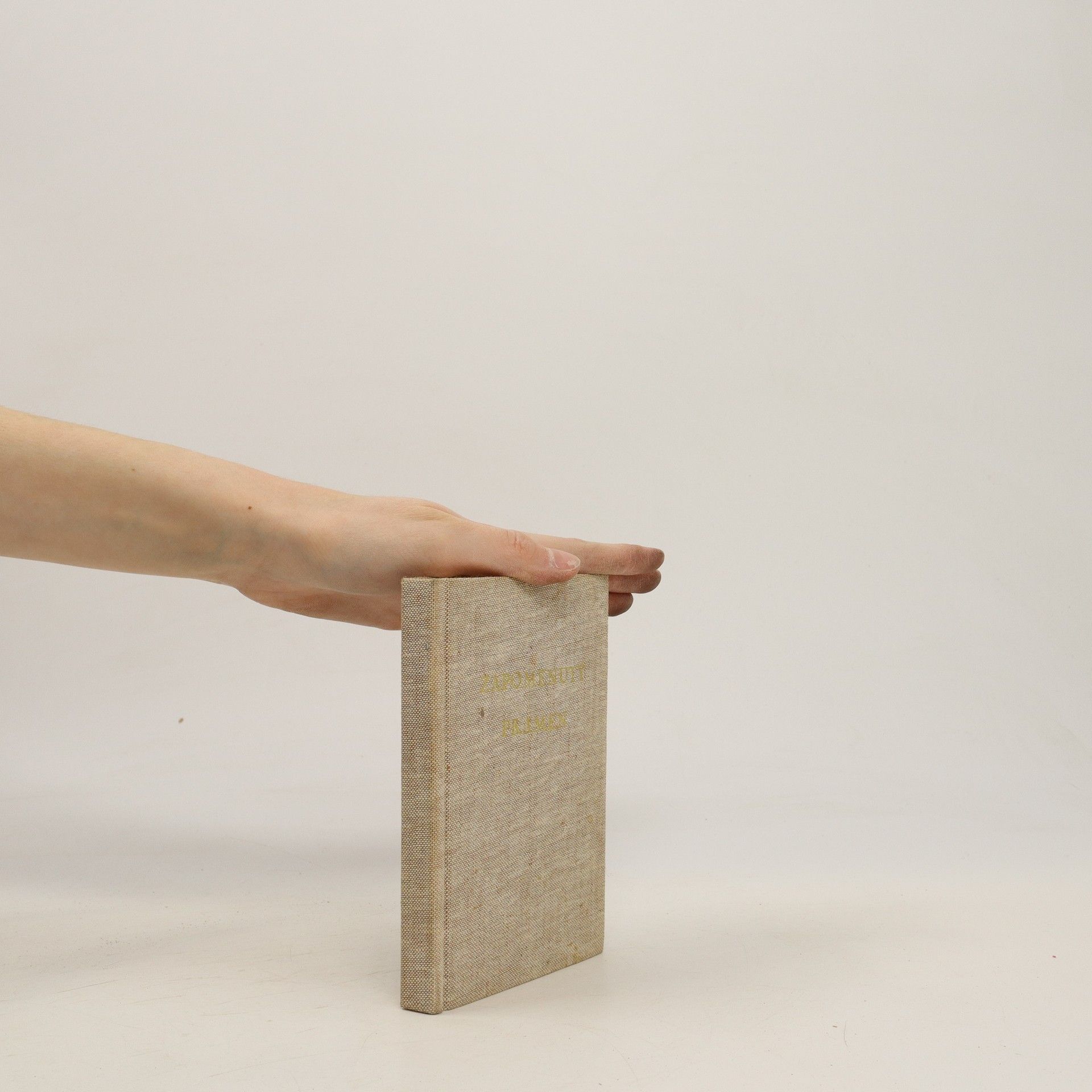 Autorenkollektiv Zapomenutý pramen