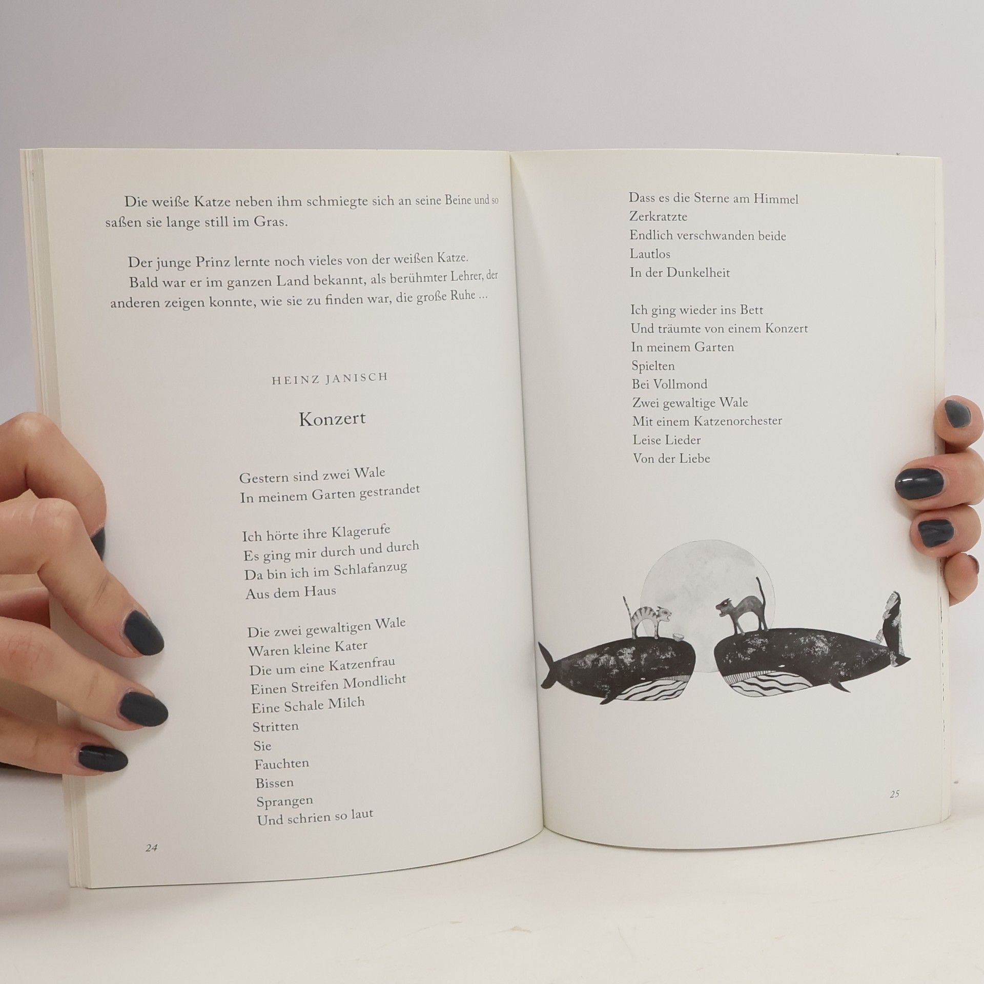 kolektiv Andersentag Buch 2009