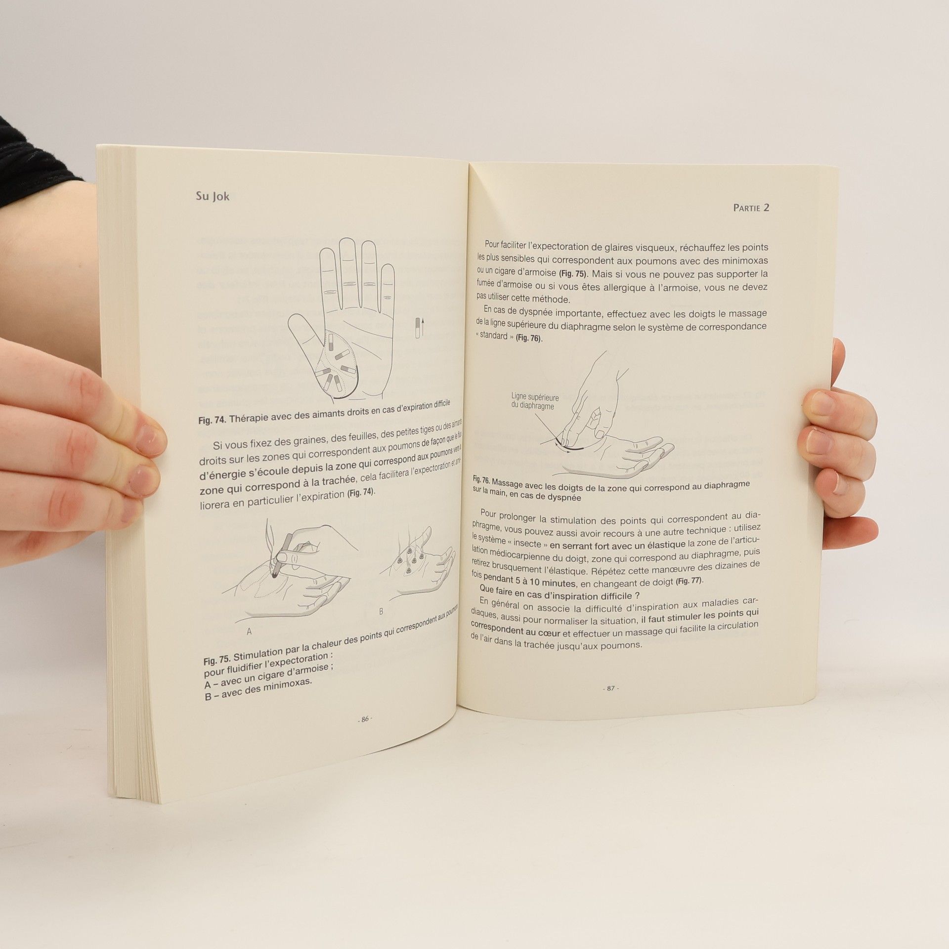Collectif d'auteurs Su Jok