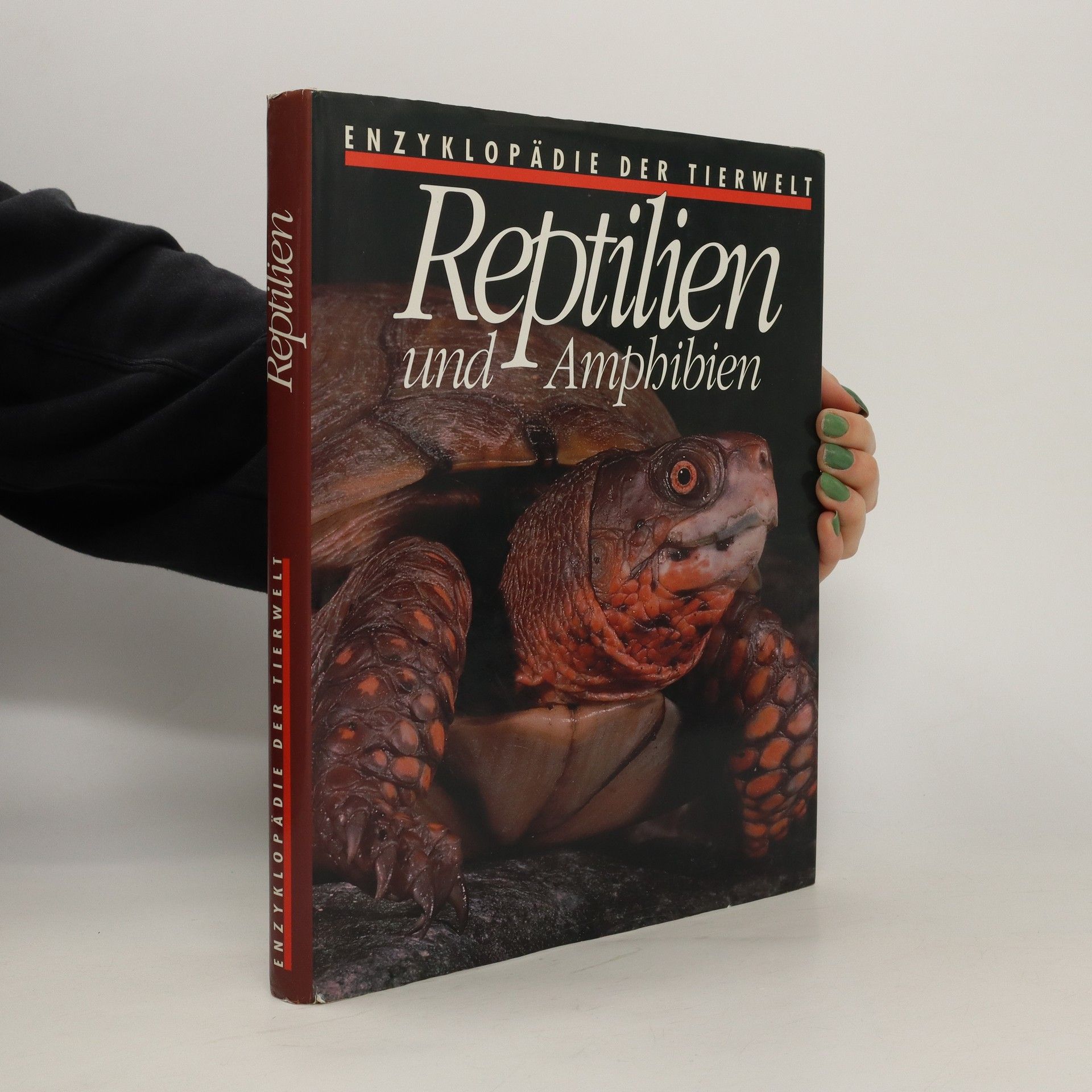 Kolektív autorov Reptilien und Amphibien